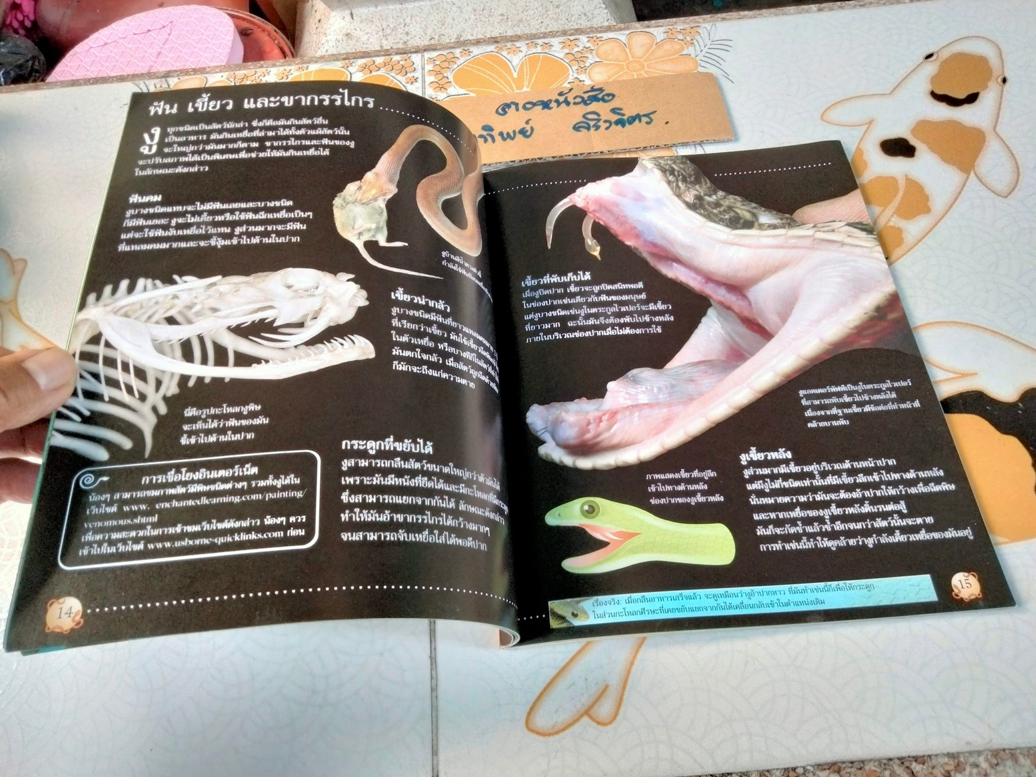 โลกของงู - Rachel Firth and Jonathan Sheikh-Miller. เขียน ,จริยา กีรติวุฒิ แปล **สินค้าหมด**