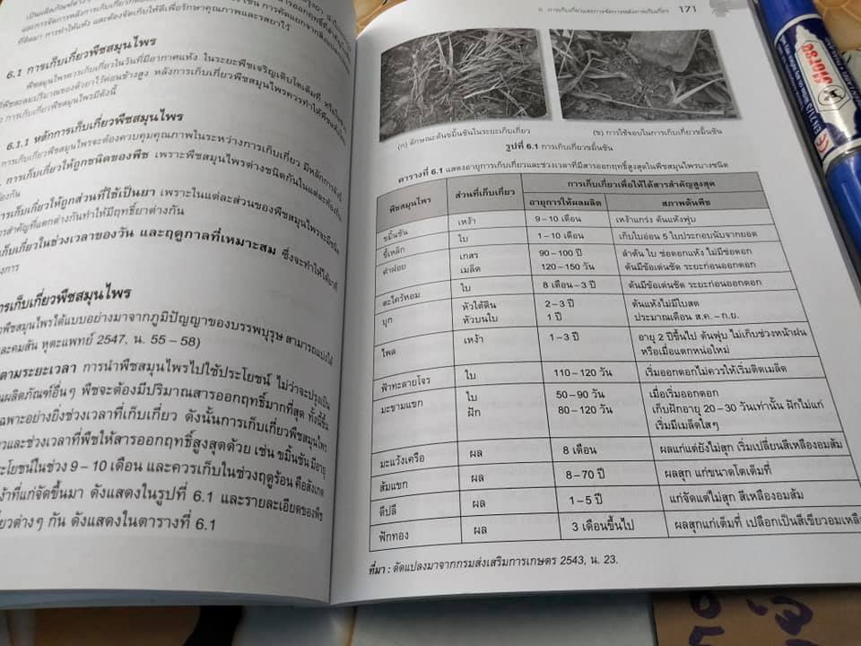 การผลิตพืชสมุนไพร - มณฑา ลิมปิยประพันธ์