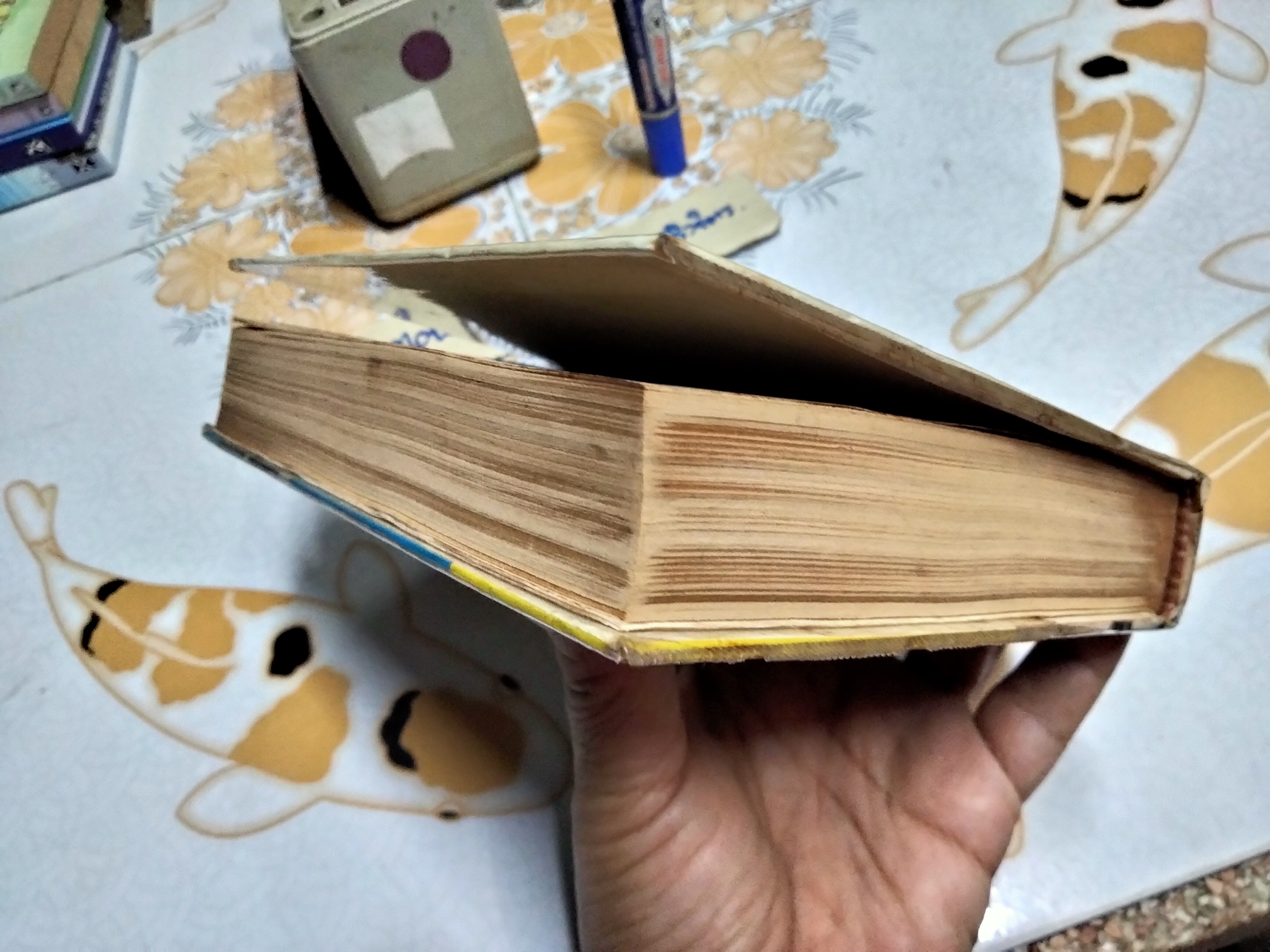 ตำราคุณลักษณะว่าน และวิธีปลูกว่าน โดย หลวงบุเรศรบำรุงการ พิมพ์ปี 2506 แพร่พิทยา **สินค้าหมด**