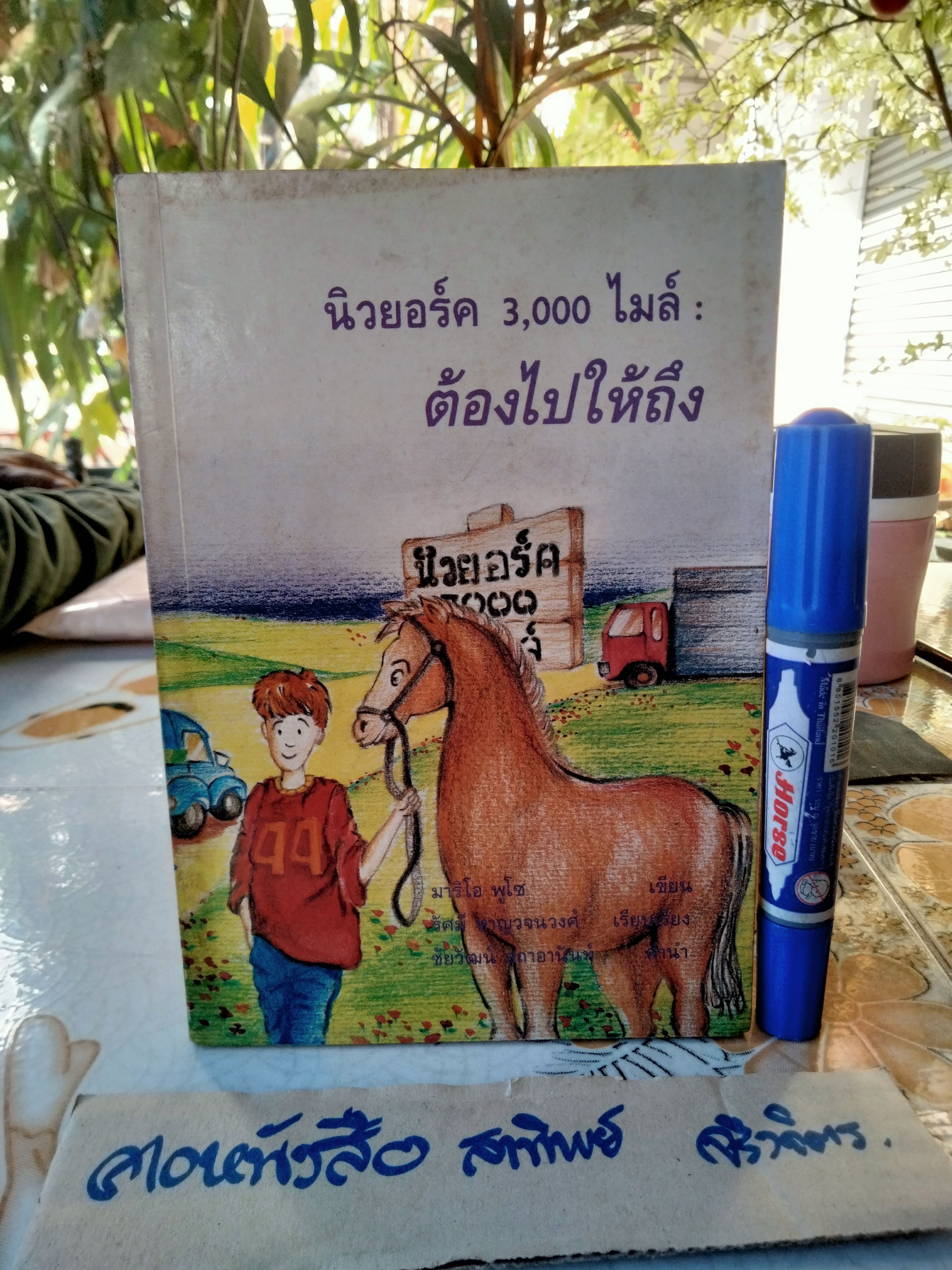 นิวยอร์ค 3,000 ไมล์ ต้องไปให้ถึง แปลจากวรรณกรรมเยาวชนเรื่อง The Runaway Summer of David Shaw มาริโอ พูโซ เขียน **สินค้าหมด**