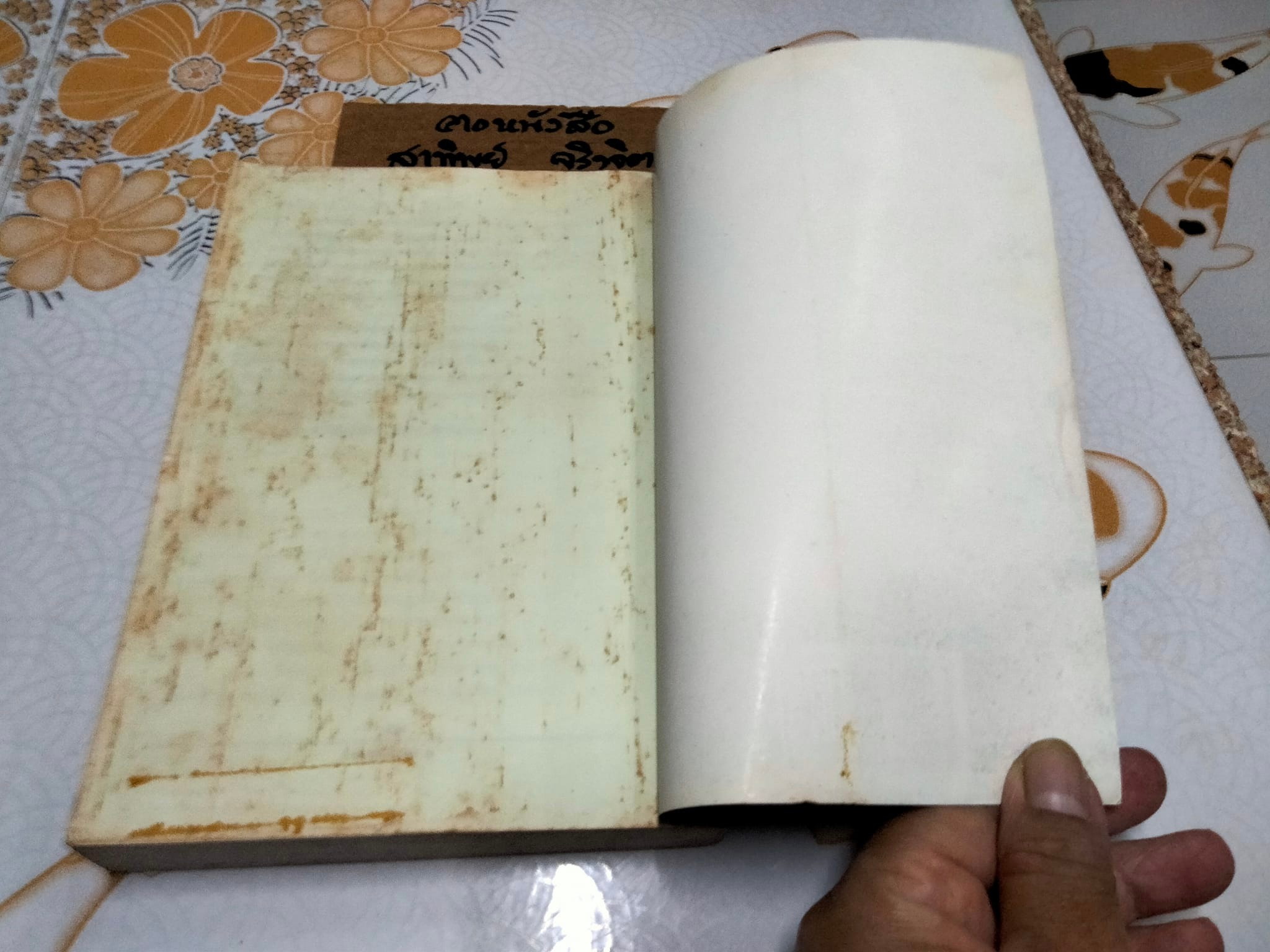 มุกมังกร The Dragon's Pearl - สิรินทร์ พัธโนทัย เขียน , บุญรัตน์ อภิชาติไตรสรณ์ แปล