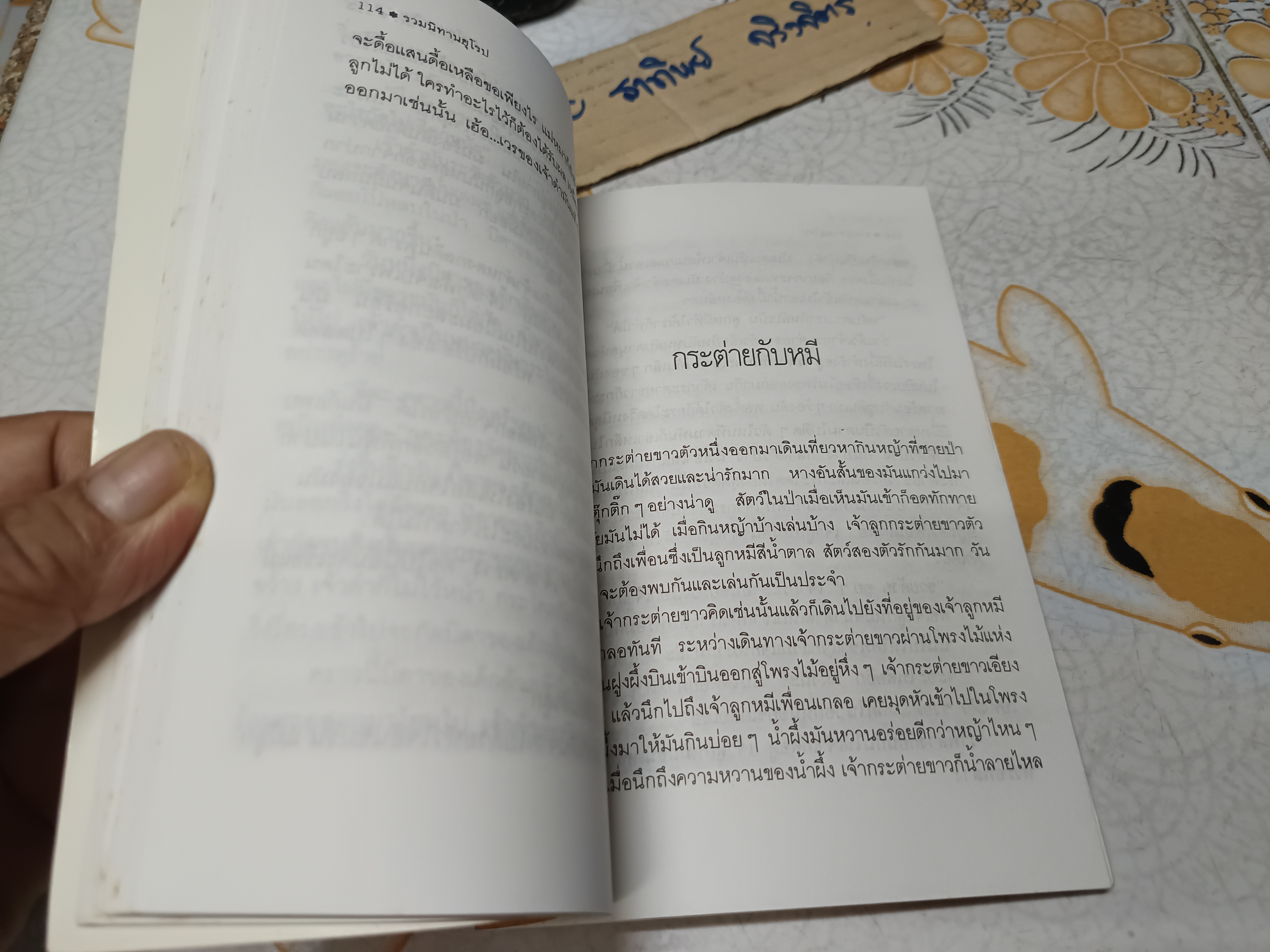 รวมนิทานยุโรป ชุดนิทานนานาชาติ รวบรวมโดย อักษราพร จัดพิมพ์โดย สำนักพิมพ์ พี.เอส. กรุ๊ป