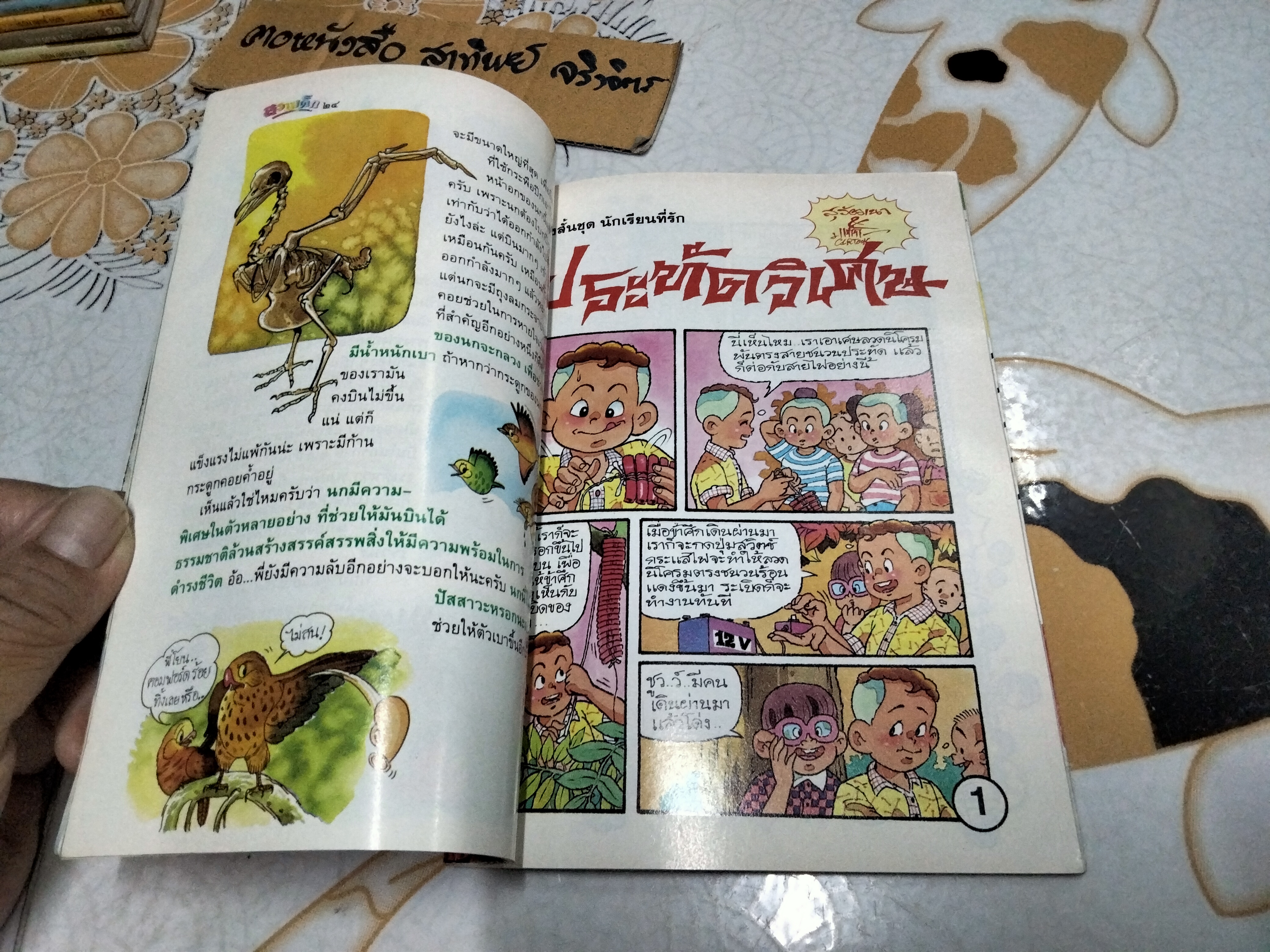 "สวนเด็ก" ปีที่ 5 ฉบับที่ 99 ปักษ์แรก เดือนกุมภาพันธ์ 2537 ปก ลลิตา ปัญโญภาส/ เจตริน วรรธนะสิน ** รูปเล็กโดนเจาะ หน้าสารบัญ