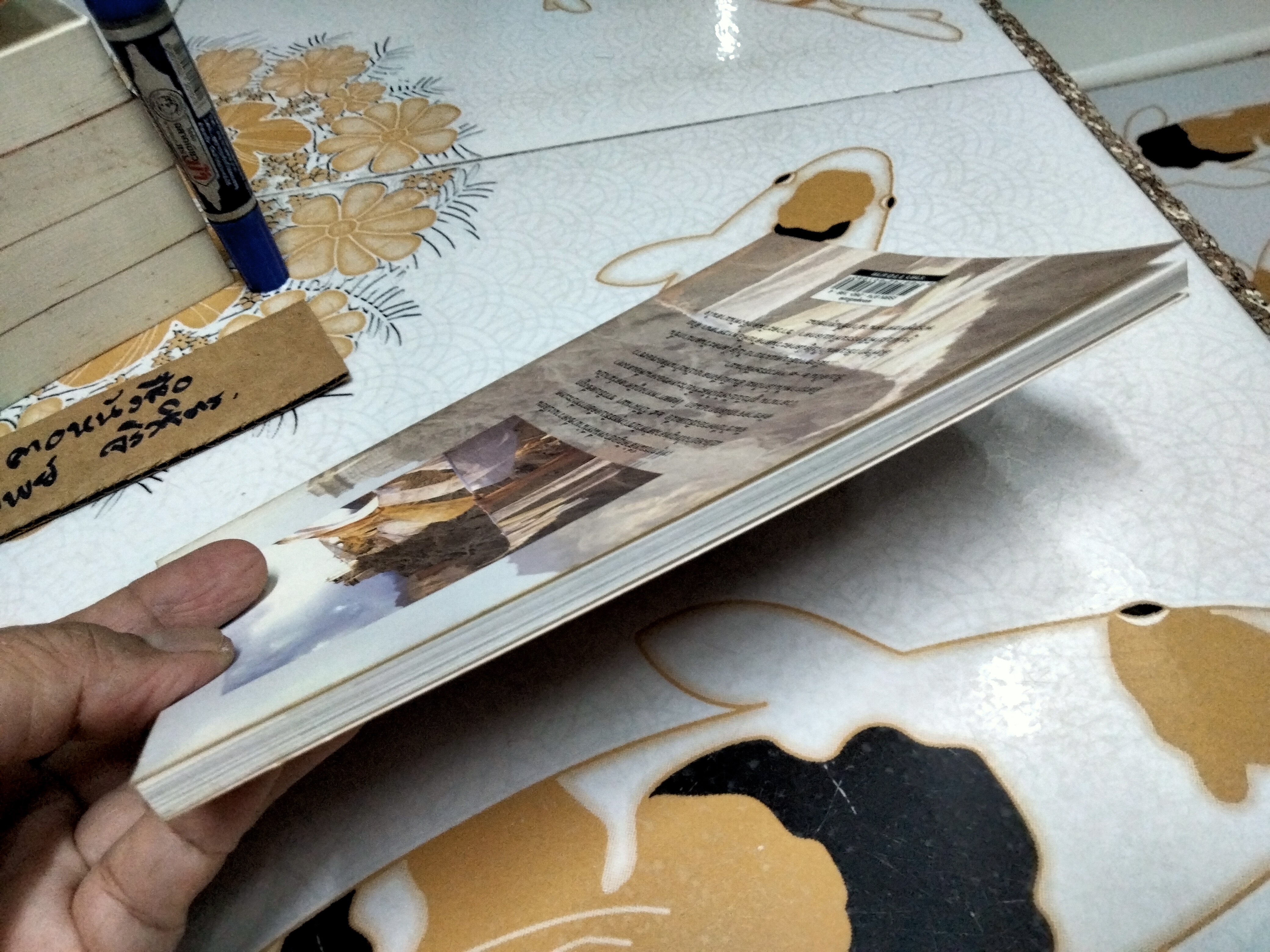 มองมุมธิเบต : ฉัตรสุมาลย์ กบิลสิงห์ พิมพ์ครั้งแรก พ.ศ.2546