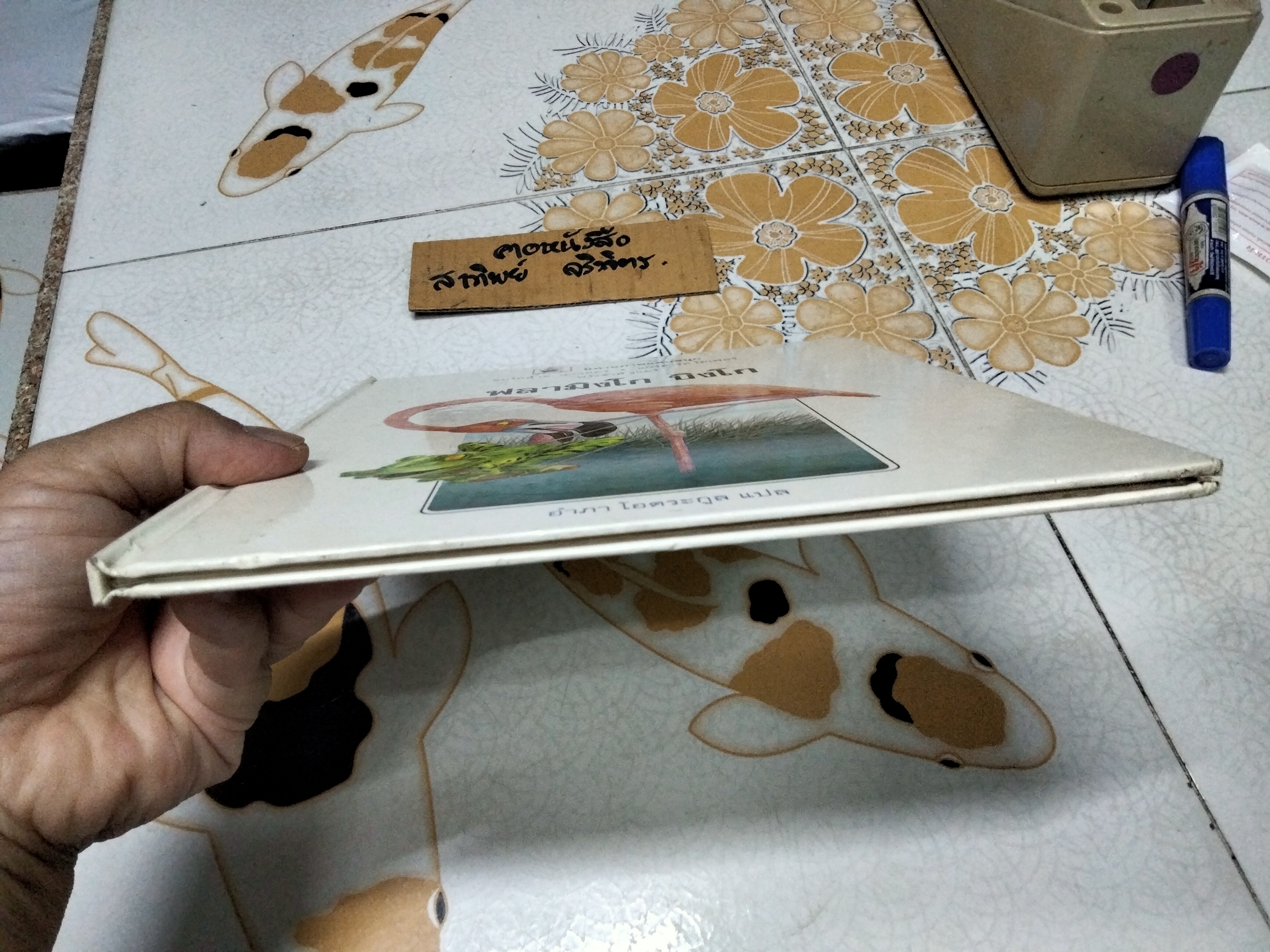 ฟลามิงโก บิงโก - แอร์นส์ เอ. เอกเคอร์ และแกร์ฮาร์ด โฮเฟอร์ - เรื่อง , ฟรังซัวส์ รูแยร์ : ภาพ , อำภา โอตระกูล : แปล **สินค้าหมด**