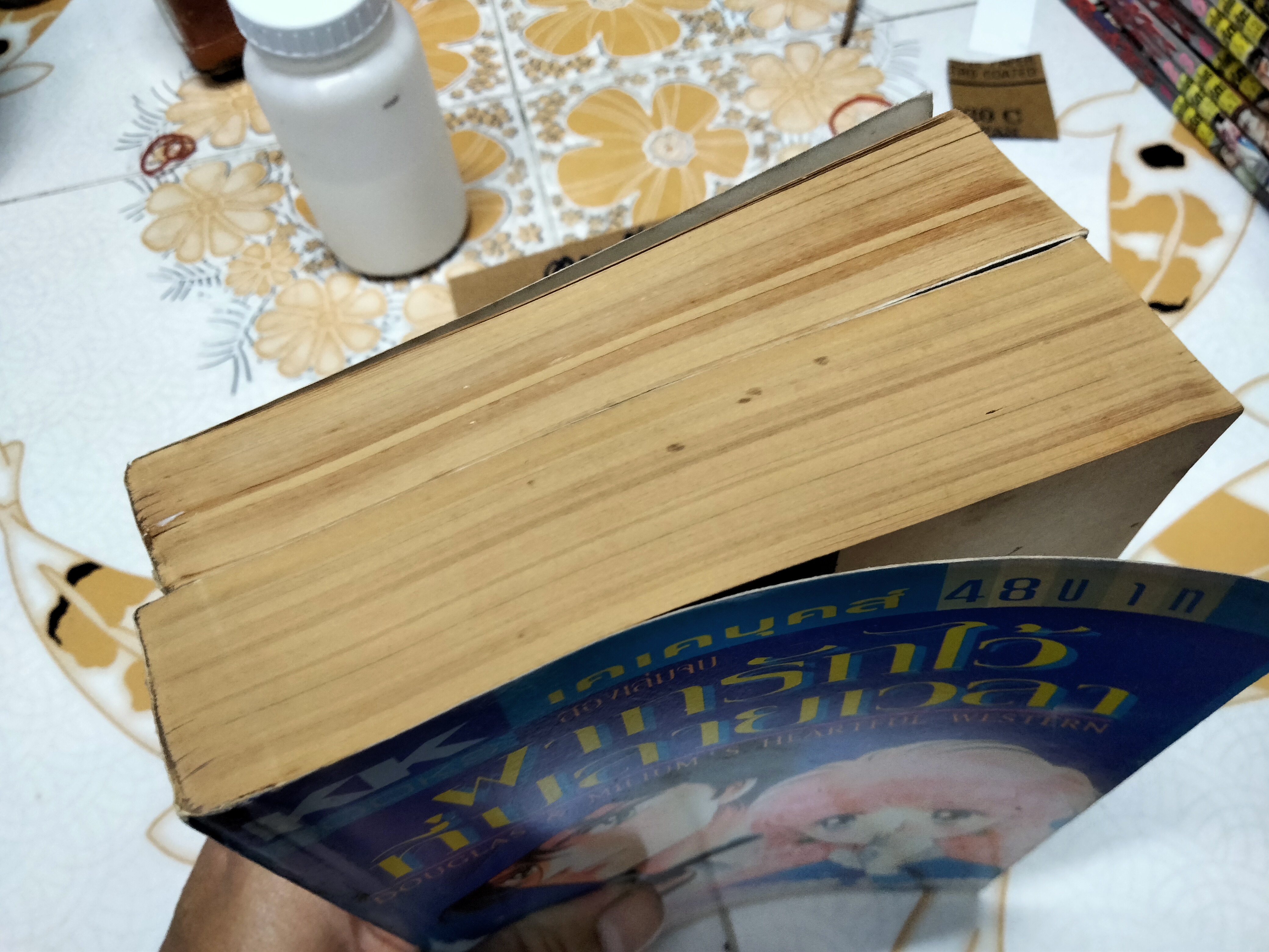 หนังสือการ์ตูน ฝากรักไว้ที่ปลายเวลา (2เล่มจบครบชุด) โดยฮิคาวะ เคียวโกะ **สินค้าหมด**