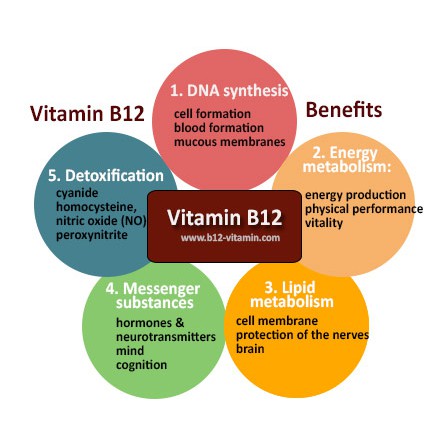 Best Fully Active B12, 1500mcg 60 Veggie Caps (Doctor's Best) วิตามินบี-12 ช่วยสร้างเซลล์เม็ดเลือดแดง เสริมพลังงาน