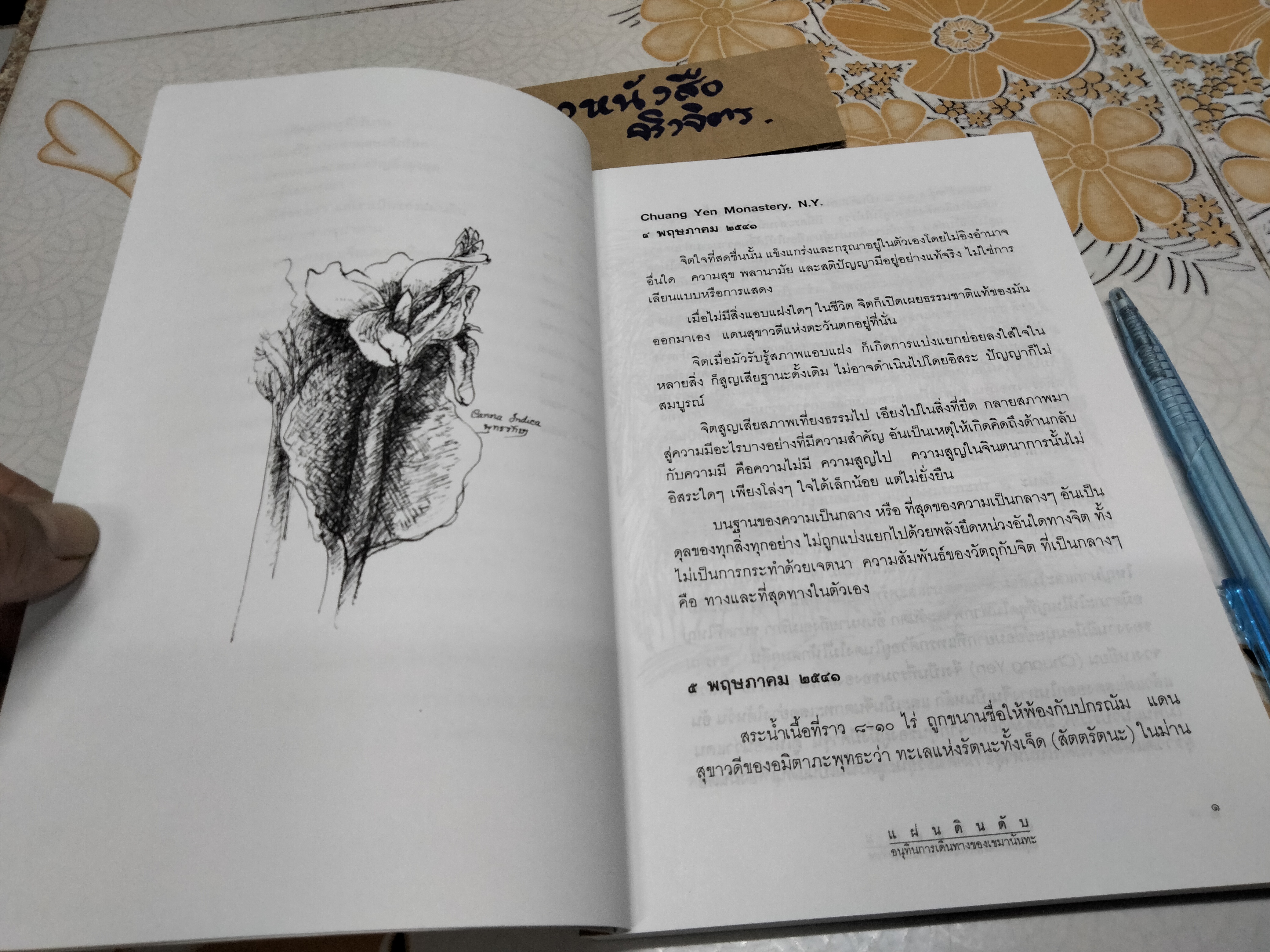 แผ่นดินดับ - เขมานันทะ (มีตราอภินันทนาการ-หน้าแรก) **สินค้าหมด**