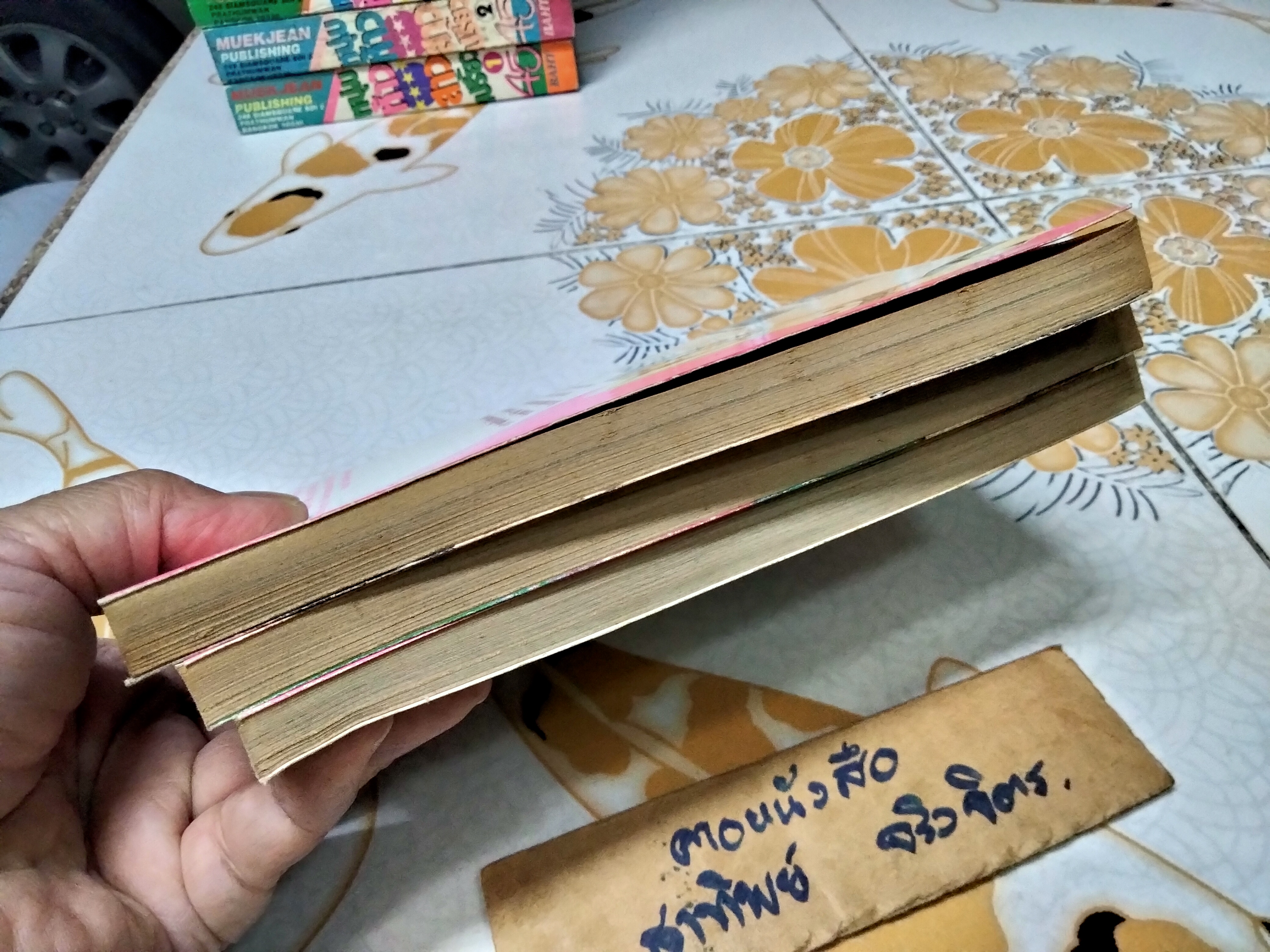 หนุ่มห้าวสาวเปรี้ยว (1-15 สนพ.หมึกจีน) + หมัดสั่งสร้างฝัน (เล่มที่ 45,46,47 สยามอินเตอร์ฯ)