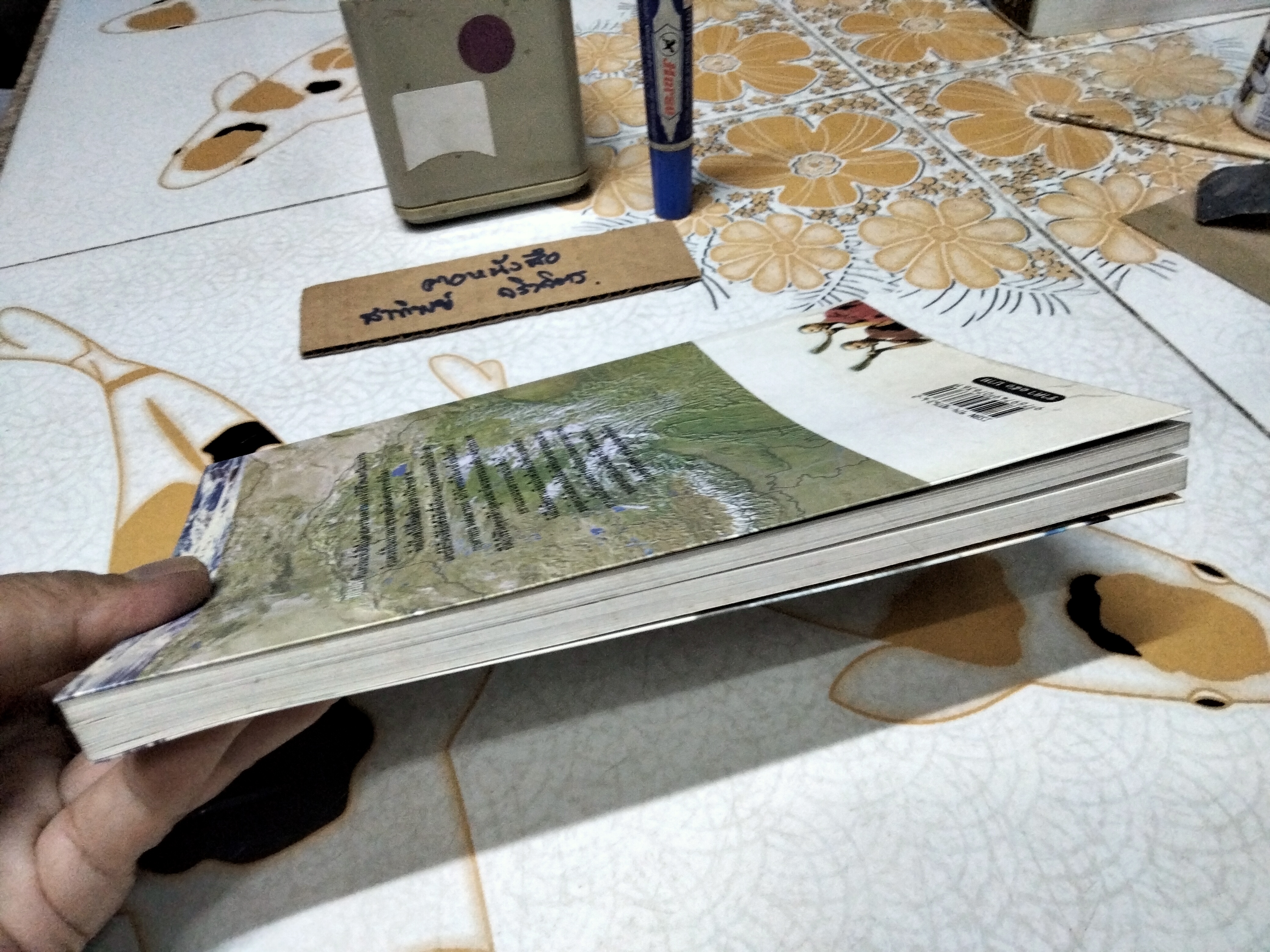 ทิเบต ขอบฟ้าที่สูญหายไป โดย กฤษดาวรรณ หงส์ลดารมภ์ พิมพ์ครั้งที่ 2/2547