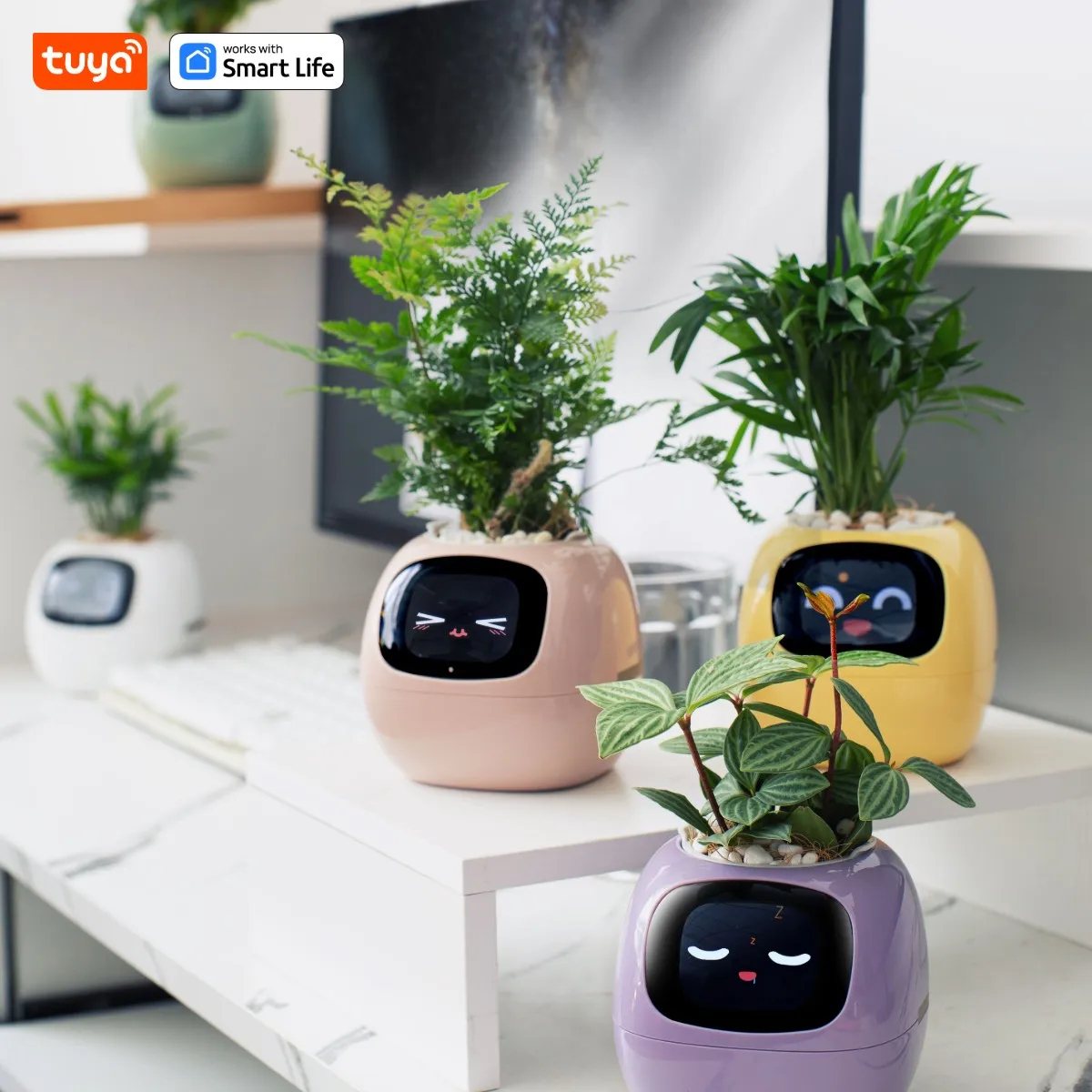 หุ่นยนต์พืชไอวี่ Smart planter Endless Ivy
