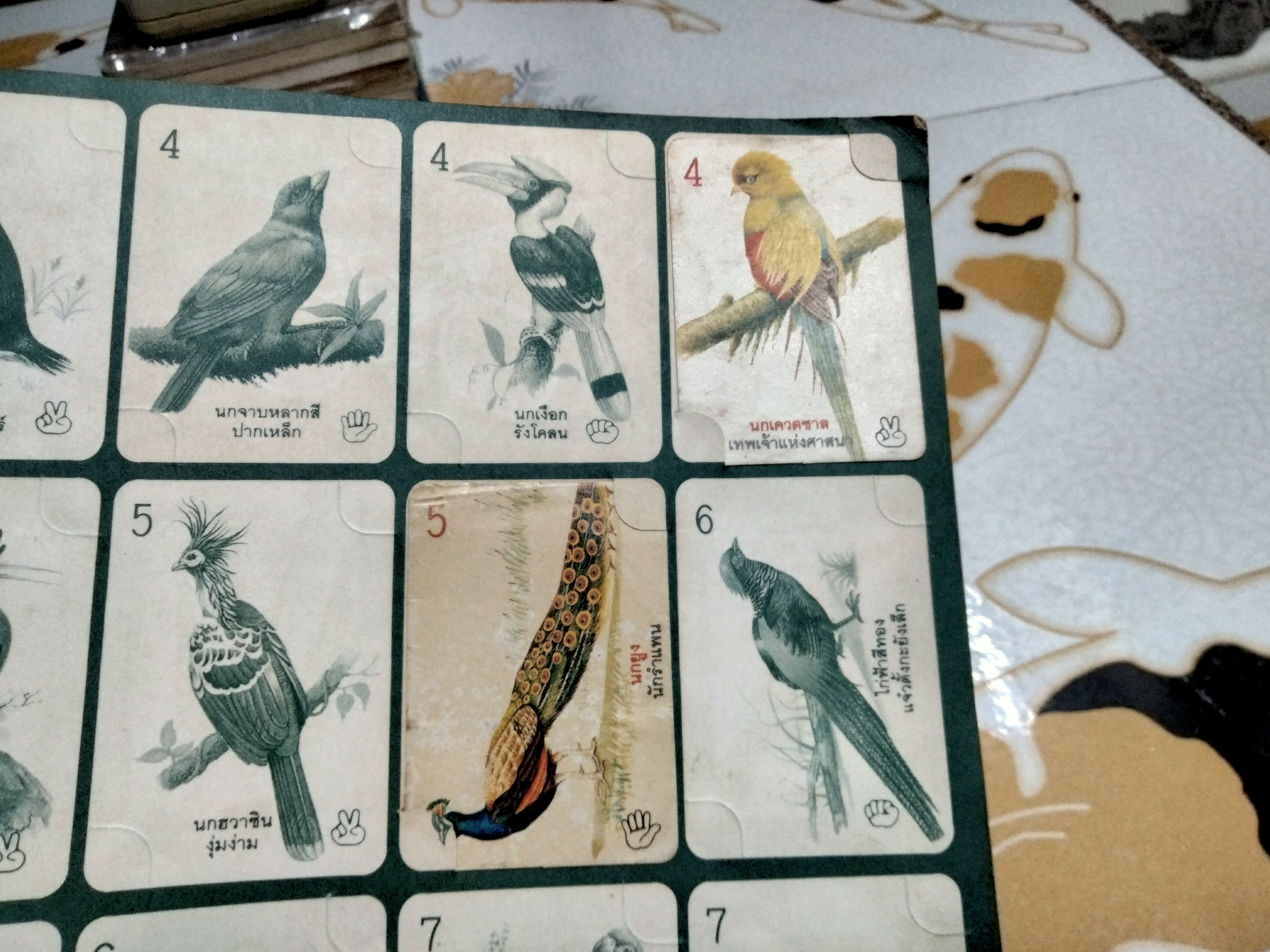 สมุดสะสมภาพสัตว์โลกแสนรัก (มีการ์ด 21 ใบ จาก 120 ใบ) **สินค้าหมด**