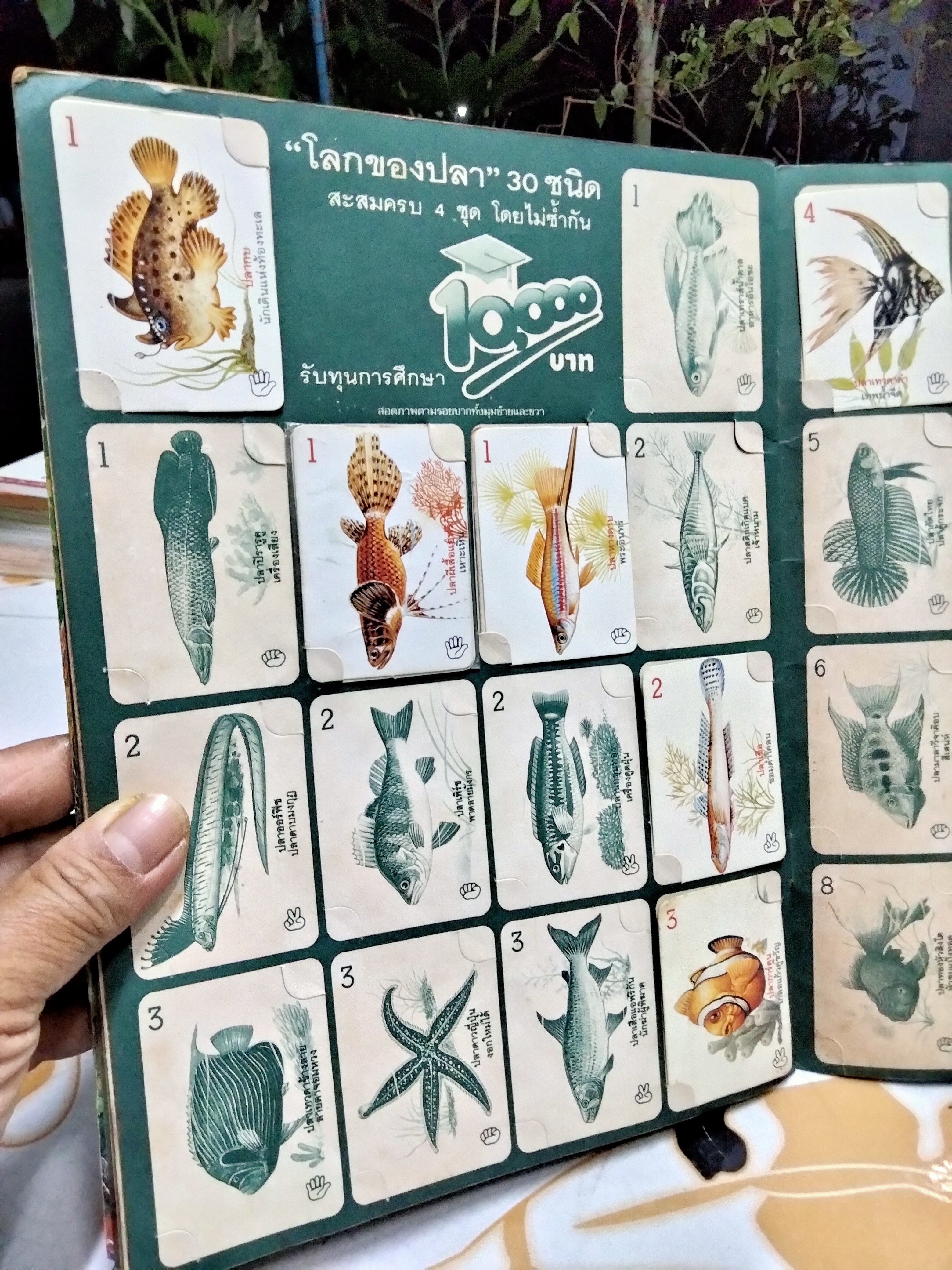 สมุดสะสมภาพสัตว์โลกแสนรัก (มีการ์ด 21 ใบ จาก 120 ใบ) **สินค้าหมด**