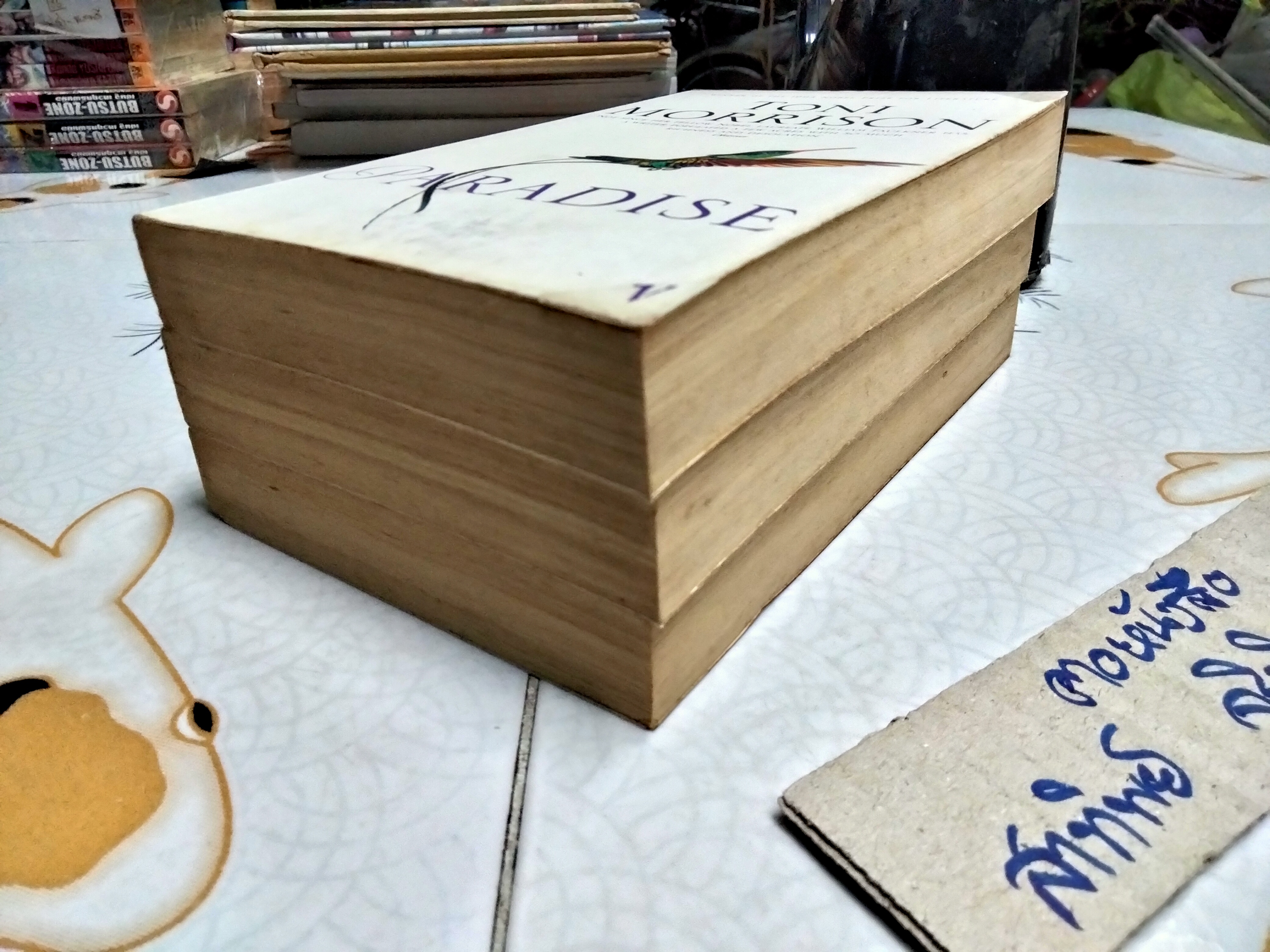 PARADISE by TONI MORRISON