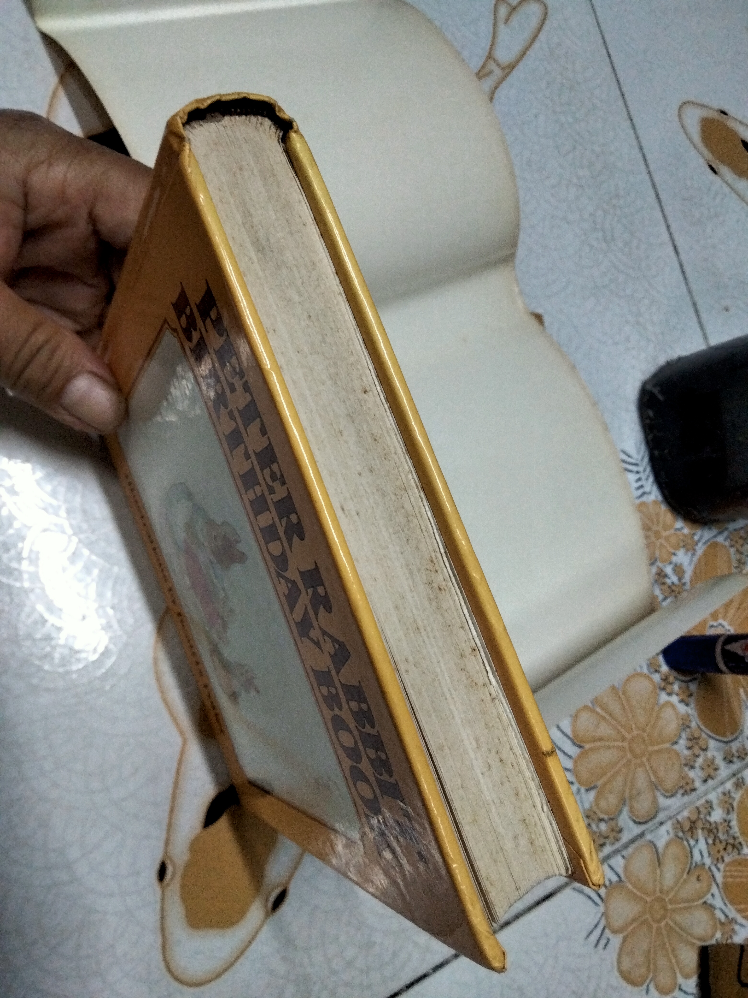 PETER RABBIT BIRTHDAY BOOK ILLUSTRATIONS BY BEATRIX POTTER