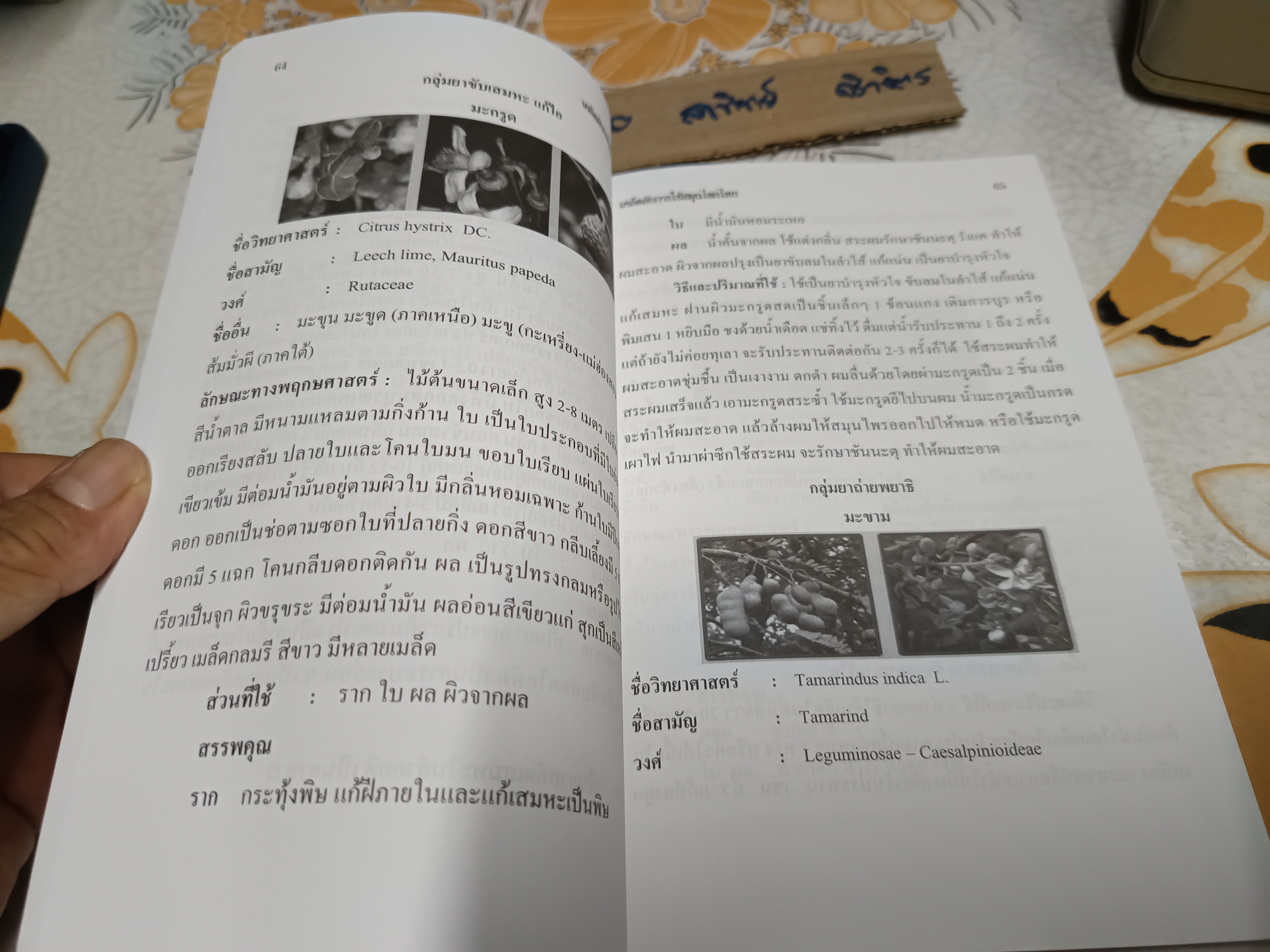 เคล็ดลับการใช้สมุนไพรไทย โดย อารีลักษณ์ อุดมแก้ว พิมพ์ครั้งแรกพ.ศ 2555