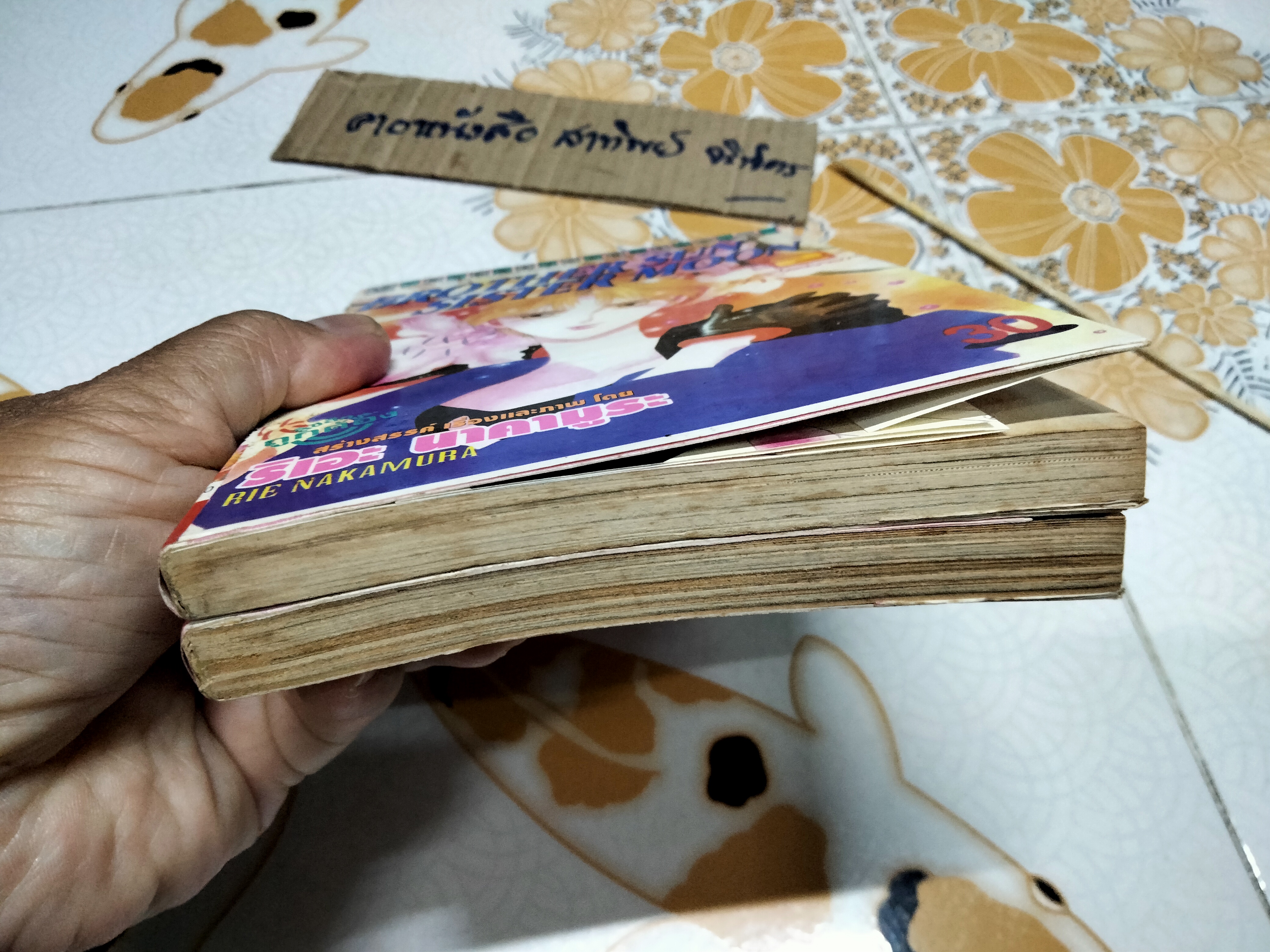 หนังสือการ์ตูน BROTHER SON SISTER MOON (2 เล่มจบ) RIE NAKAMURA **สินค้าหมด**