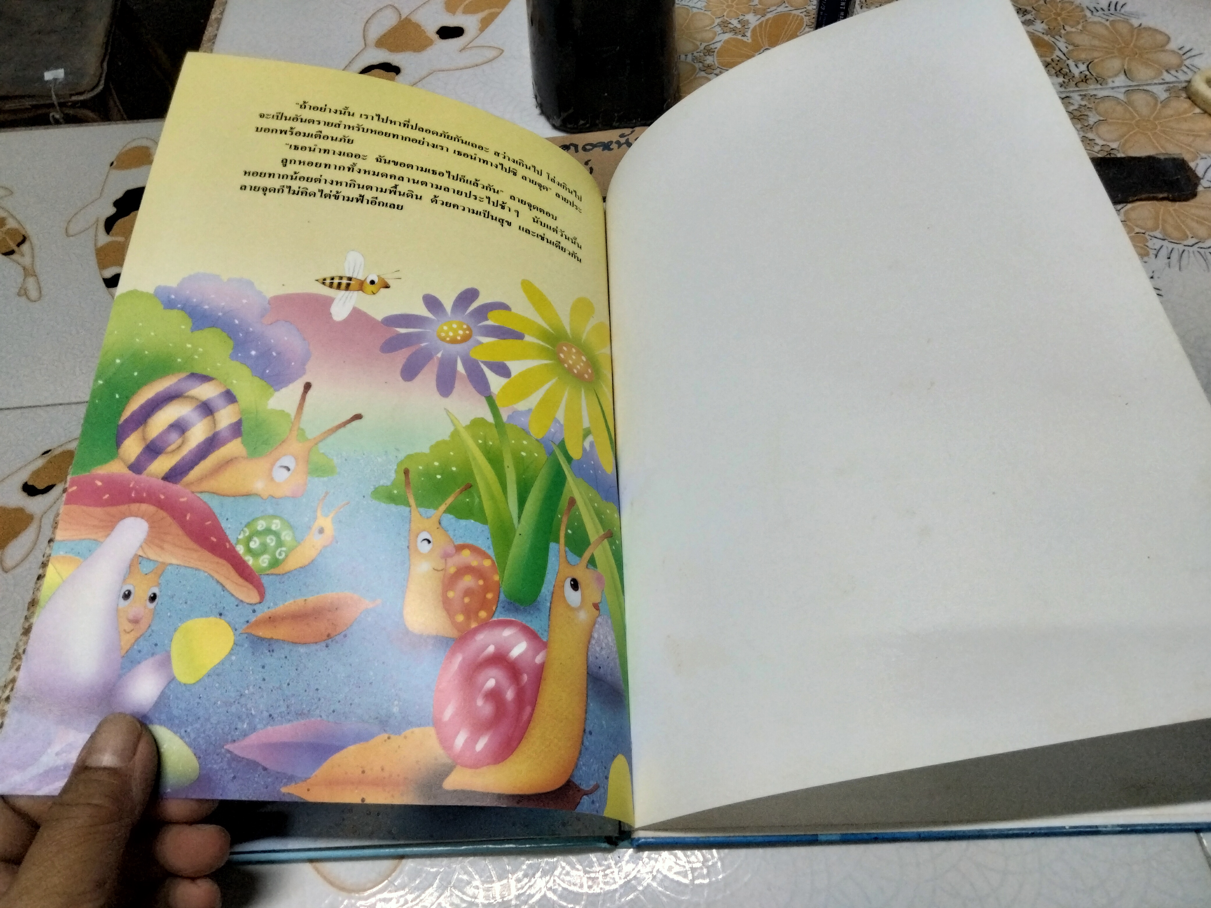 ฟ้ากว้างเท่าปากบ่อ - มาลา คำจันทร์ เขียนเรื่อง, วราพงษ์ พงศ์เจตน์พงศ์ เขียนภาพ **สินค้าหมด**