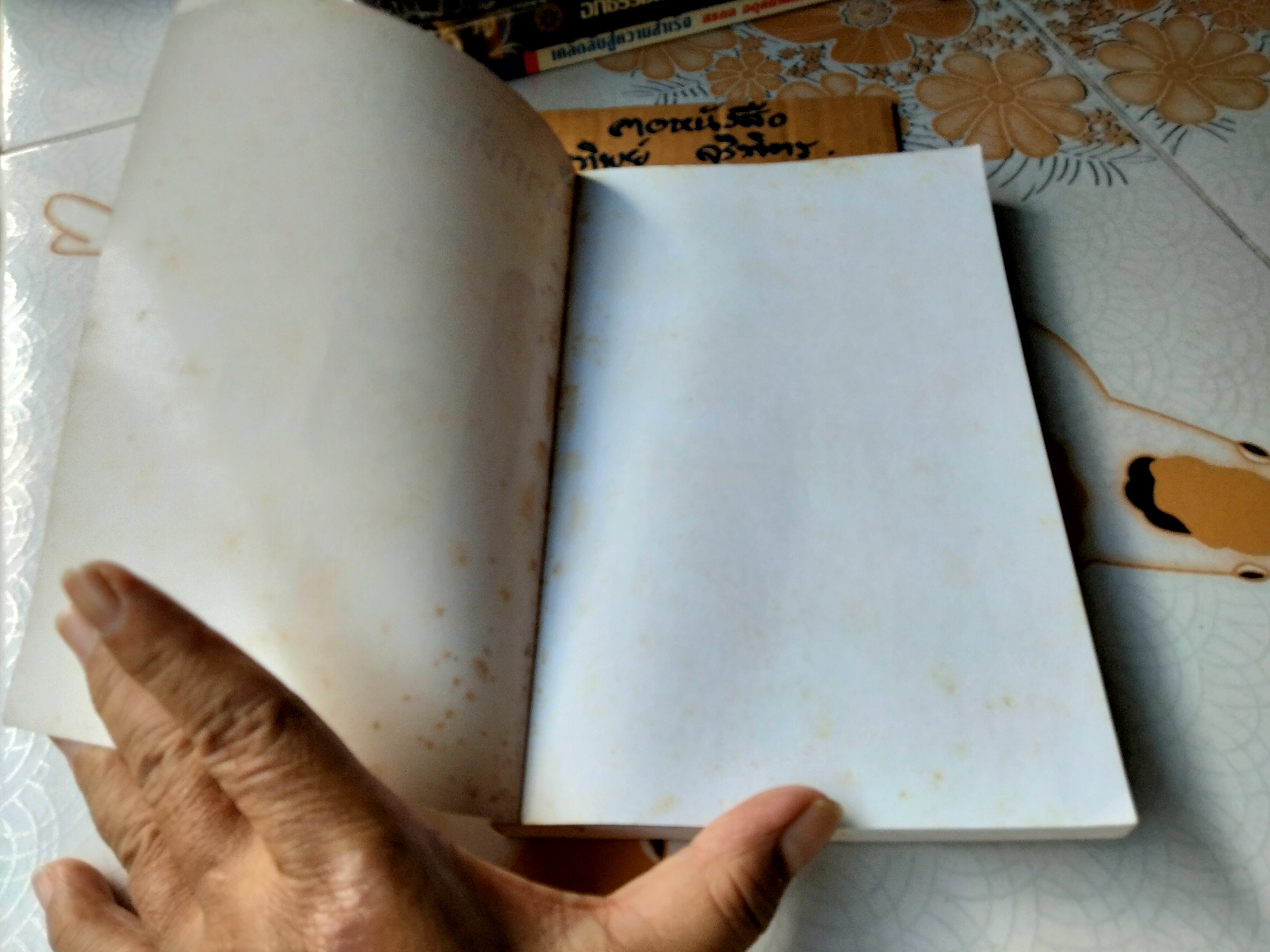 จากต้นสู่ปลาย ขนบแห่งชีวิต From Beginning to End - The Rituals of Our Lives โดย โรเบิร์ต ฟูลกัม - สมพร วรรธนะสาร-วาร์นาโด แปล