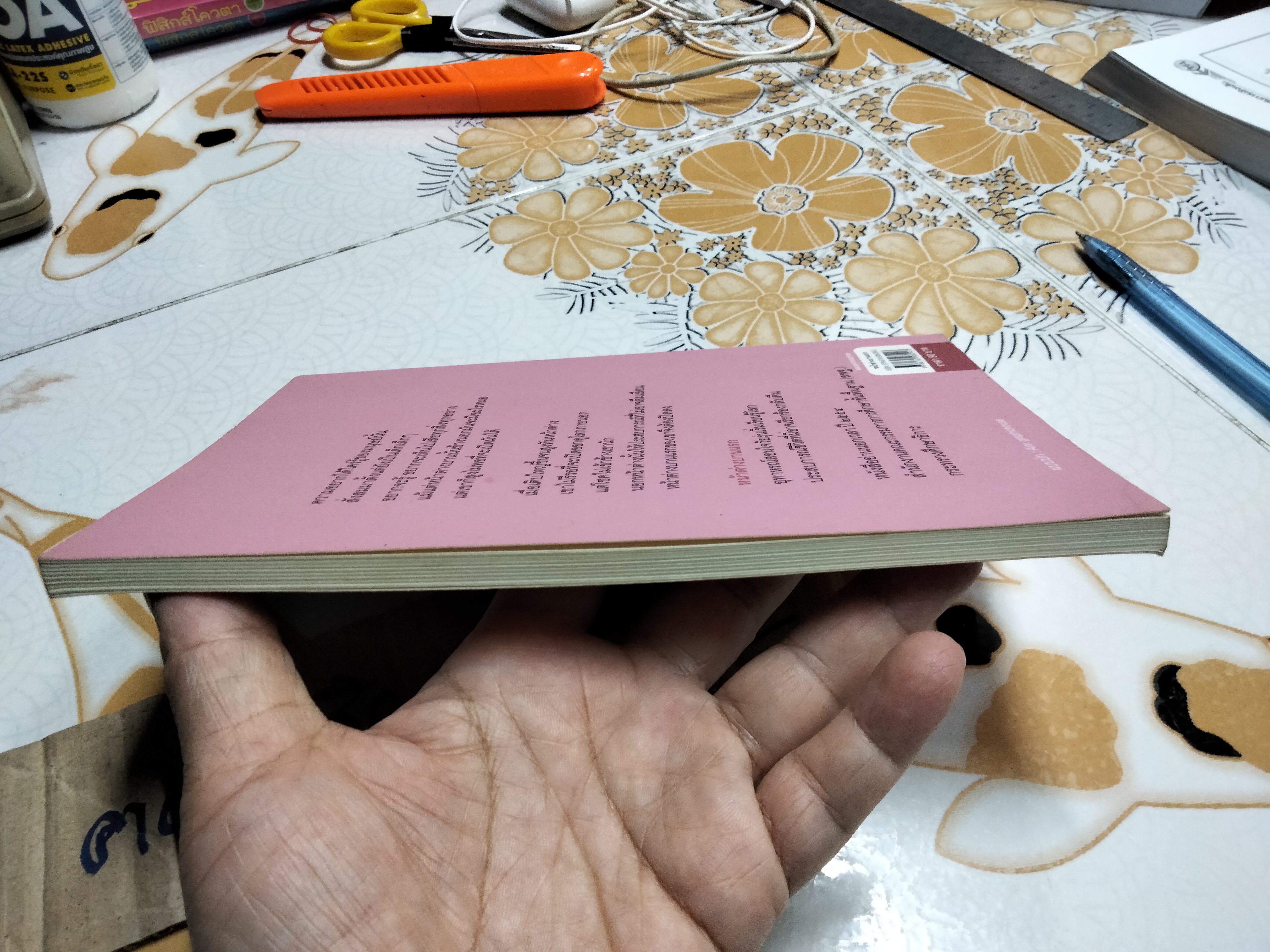 หน้าต่างบานแรก - กฤษณา อโศกสิน