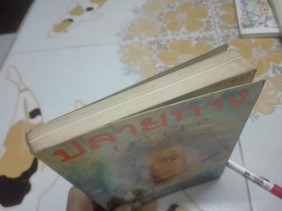 ปลายทางที่สายรุ้ง (A Little Love) - นิดา แปล **สินค้าหมด**