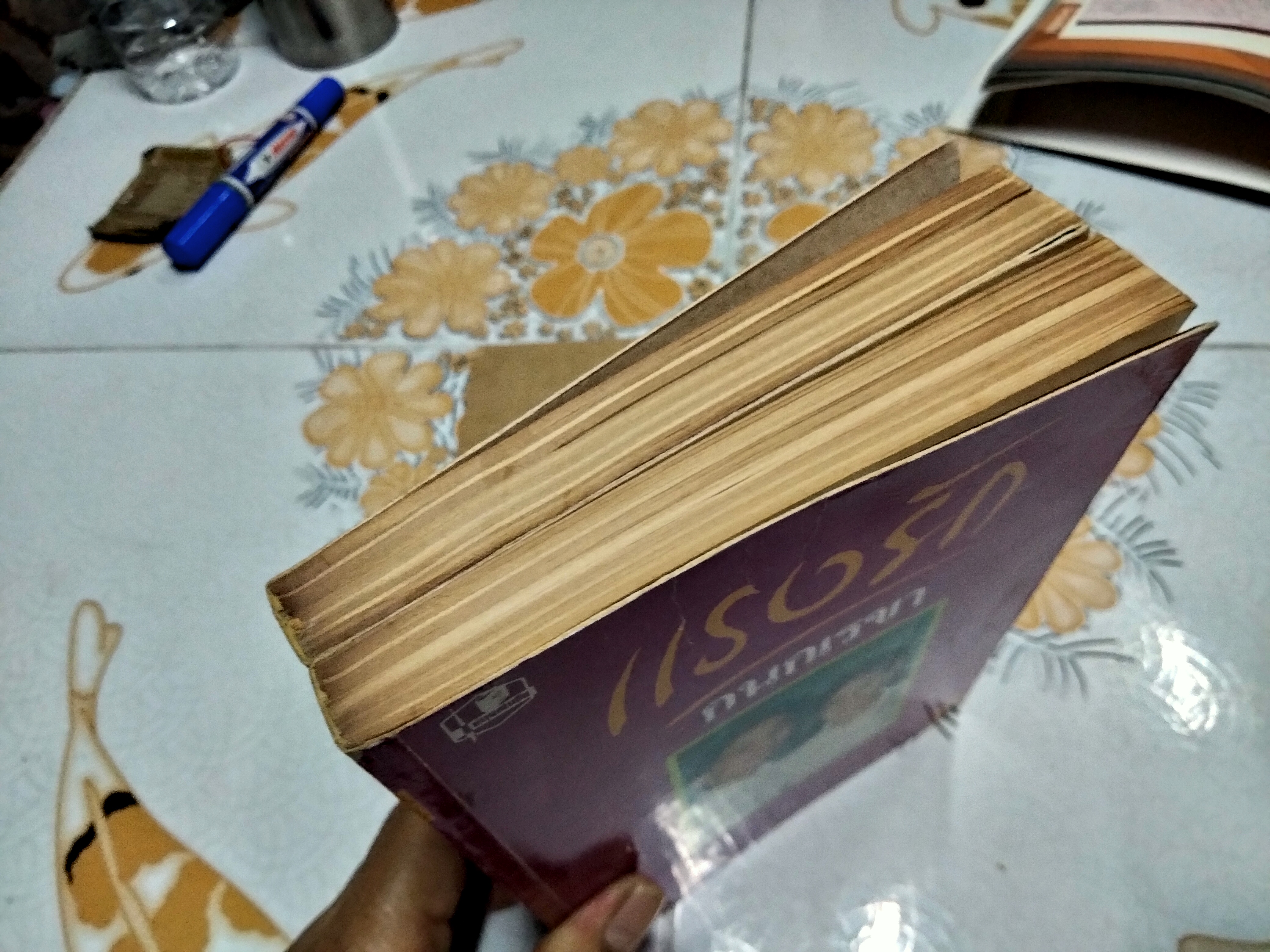 แรงรัก (2 เล่มจบ) กนกเรขา **สินค้าหมด**