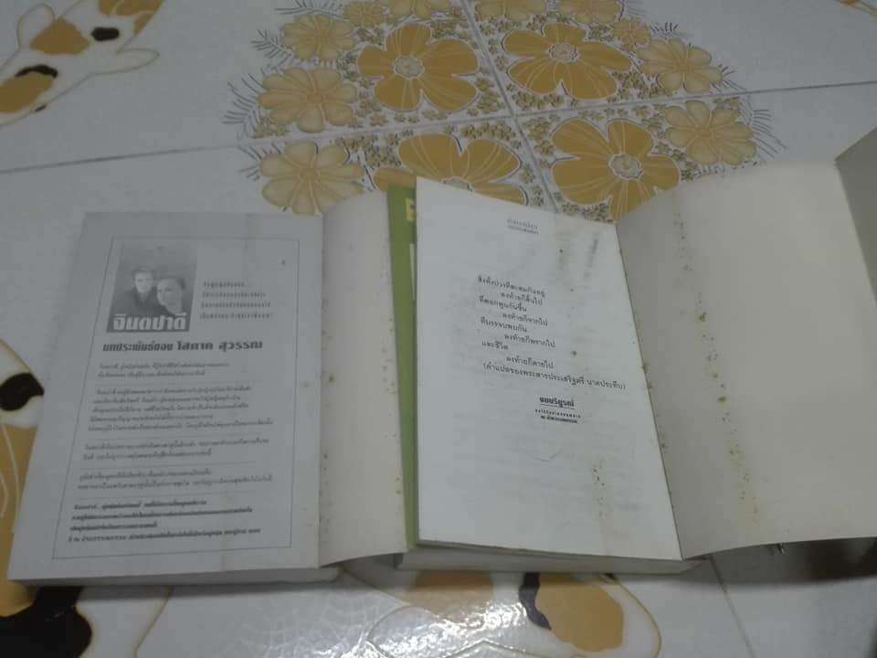 ดั่งดาวเดือน (2 เล่มจบ) โดย ช่อลัดา