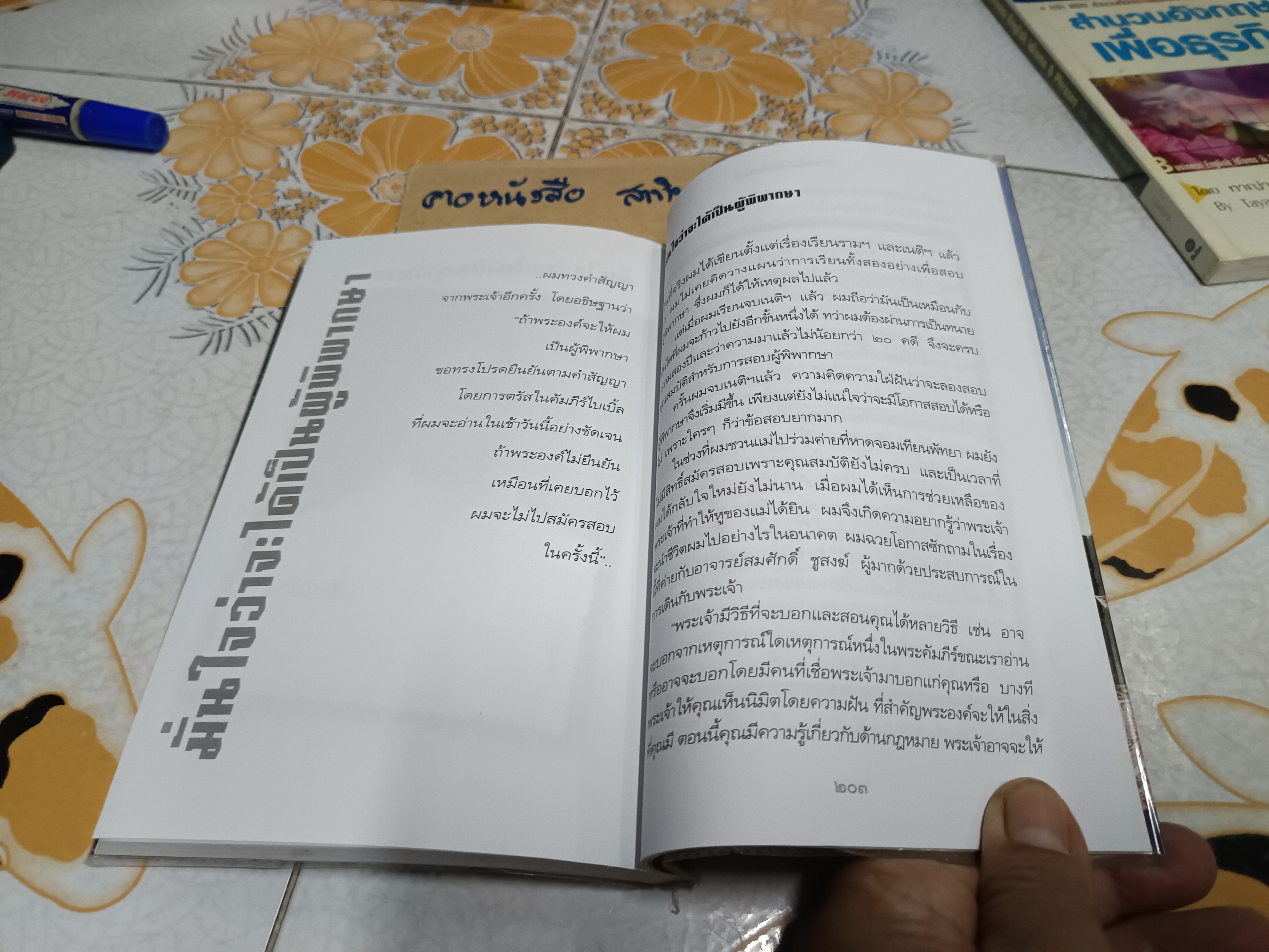 กว่าจะได้นั่งบัลลังก์ศาล โดย ณัฐปกรณ์ พิชญปัญญาธรรม พิมพ์ครั้งที่ 2/2545 **สินค้าหมด**