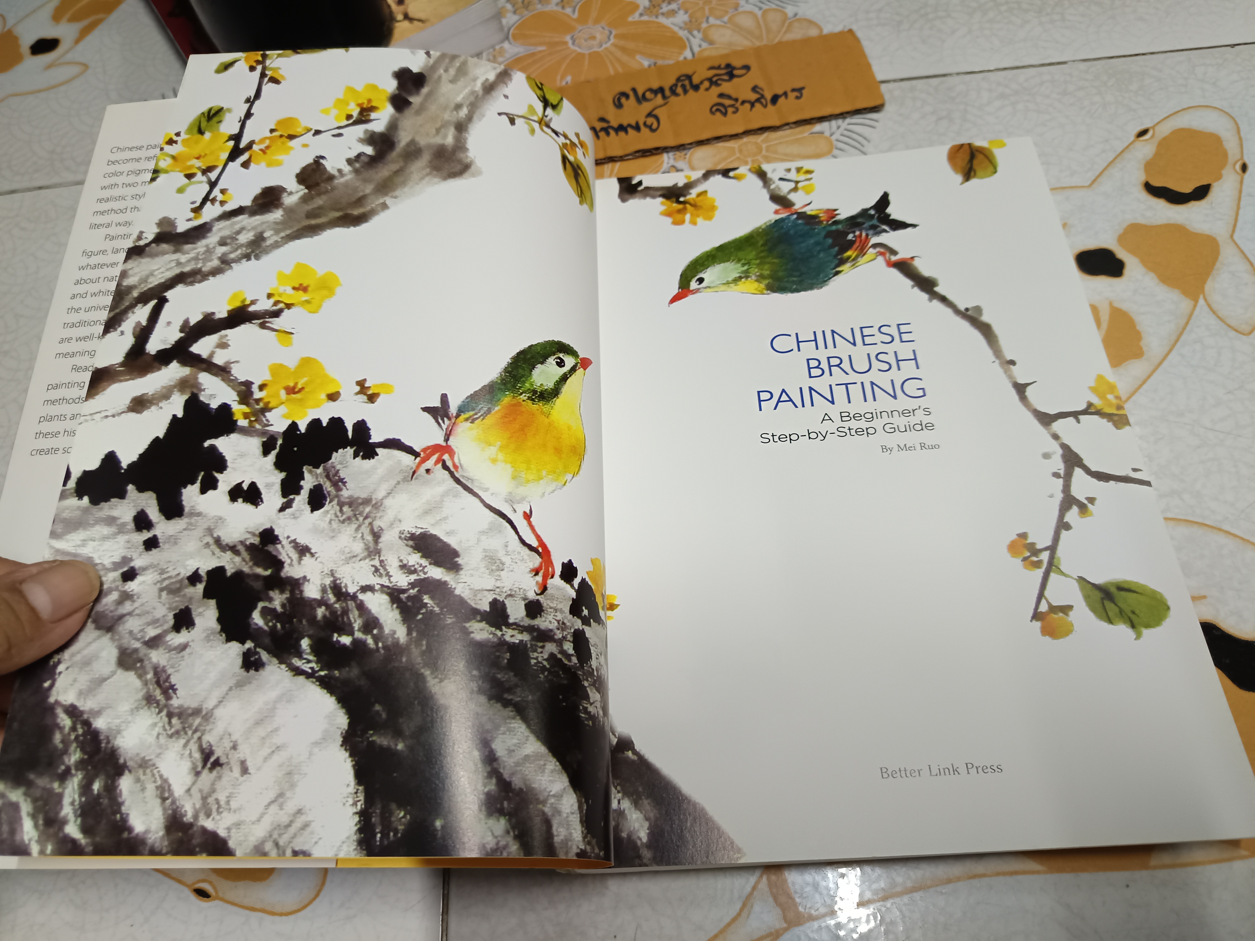 Chinese Brush Painting : A Beginner's Step-by-Step Guide by Mei Ruo