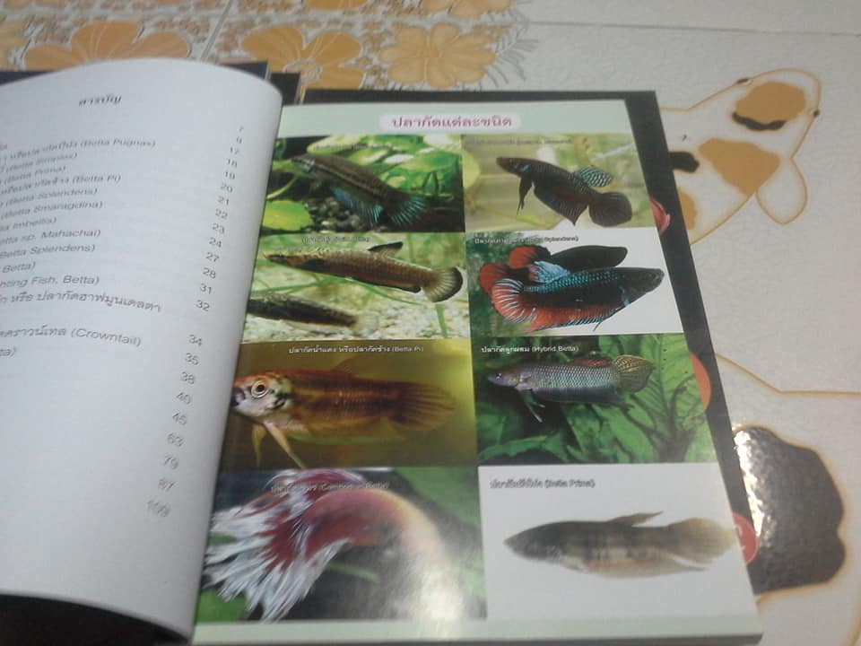 คู่มือเลี้ยงปลากัด ฉบับสมบูรณ์ **สินค้าหมด**