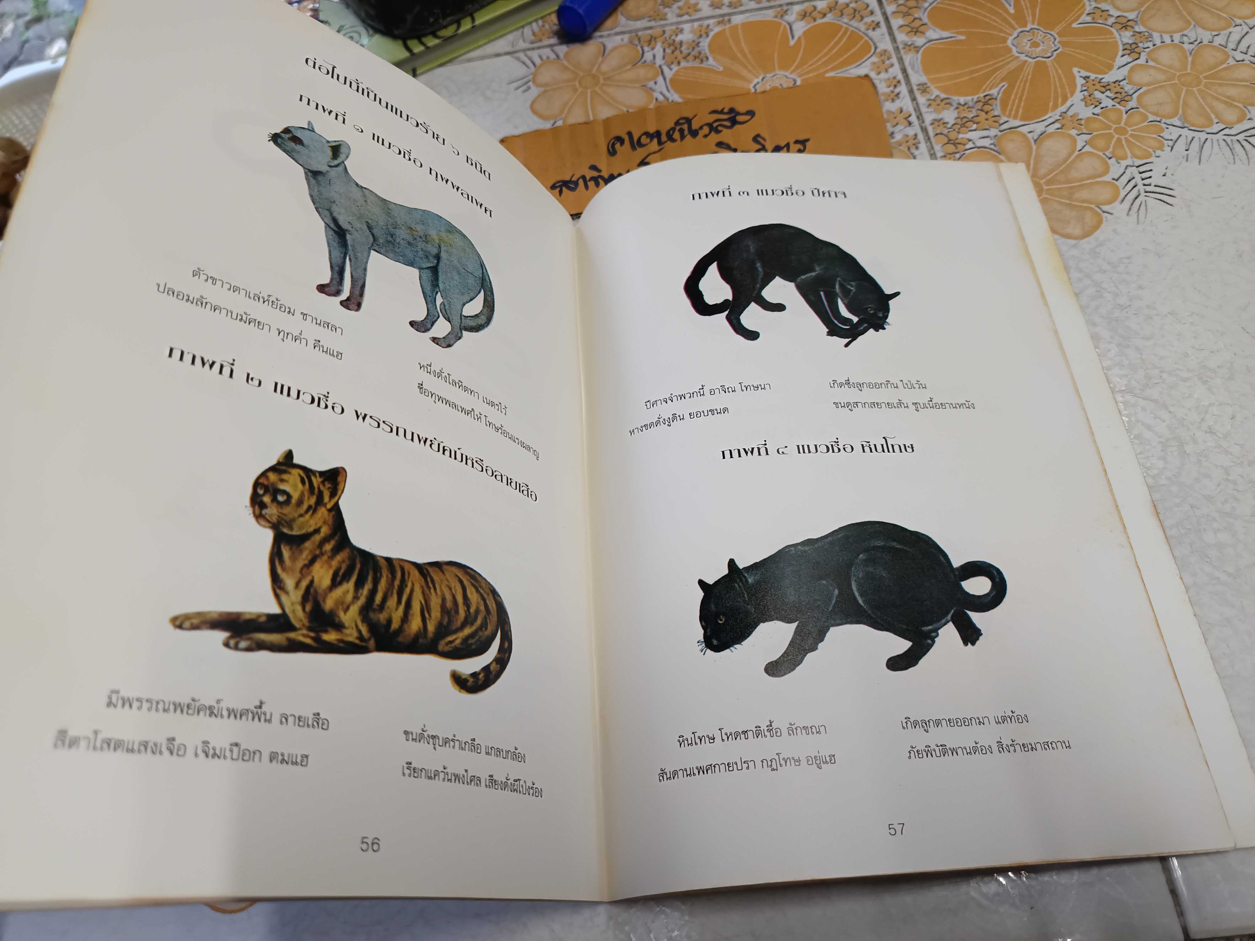 หนังสืออนุสรณ์ คุณแม่หนูทับ พุฒาพิทักษ์ วันพุธที่ 11 มีนาคม 2535 #ตำราแมว