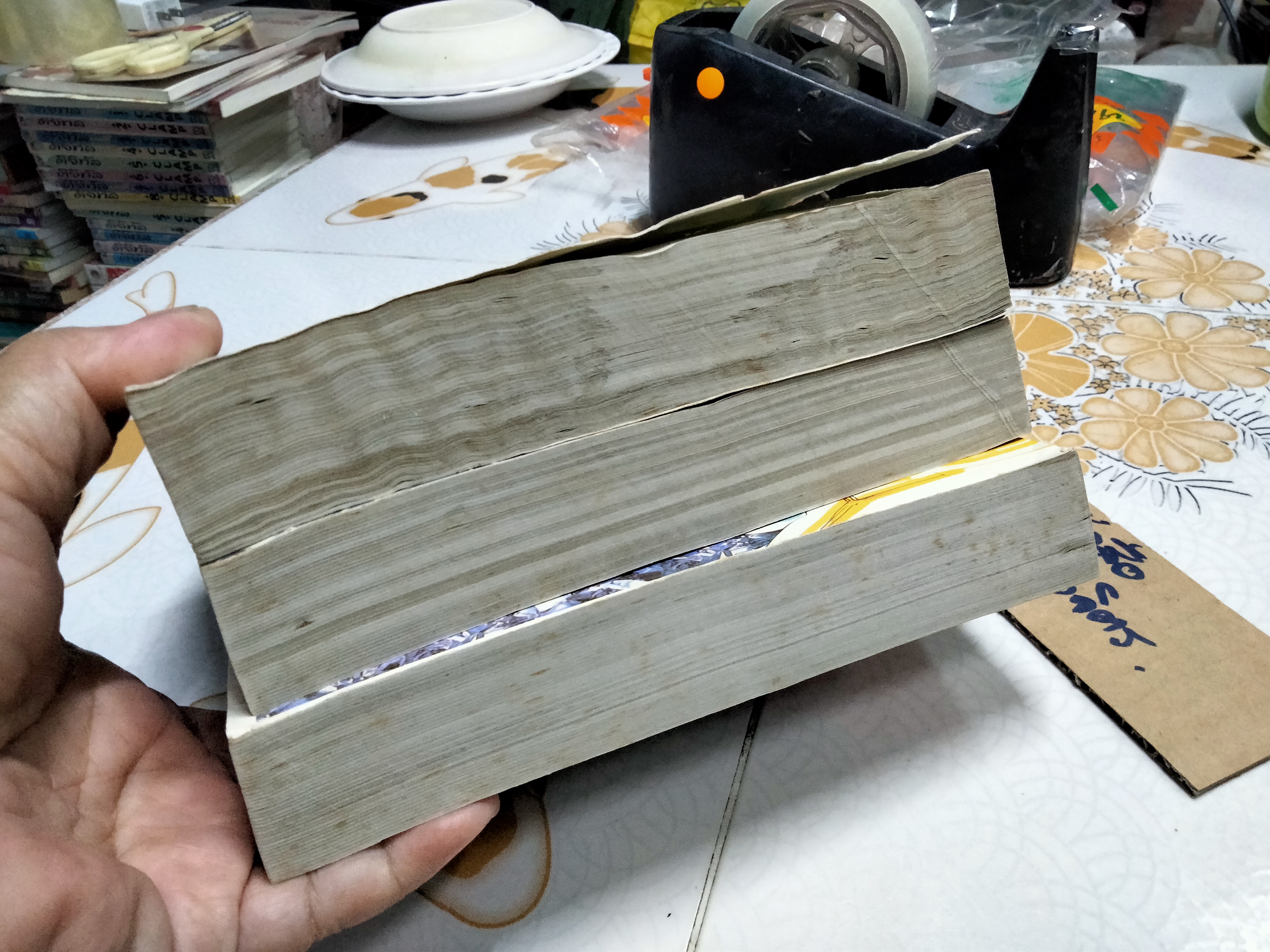 คำสาปอสูร 3 เล่มจบ - Shinobu Hazuki เรื่องเดียวกับเรื่อง ฝากฝันสู่กาลนิรันดร์ **สินค้าหมด**