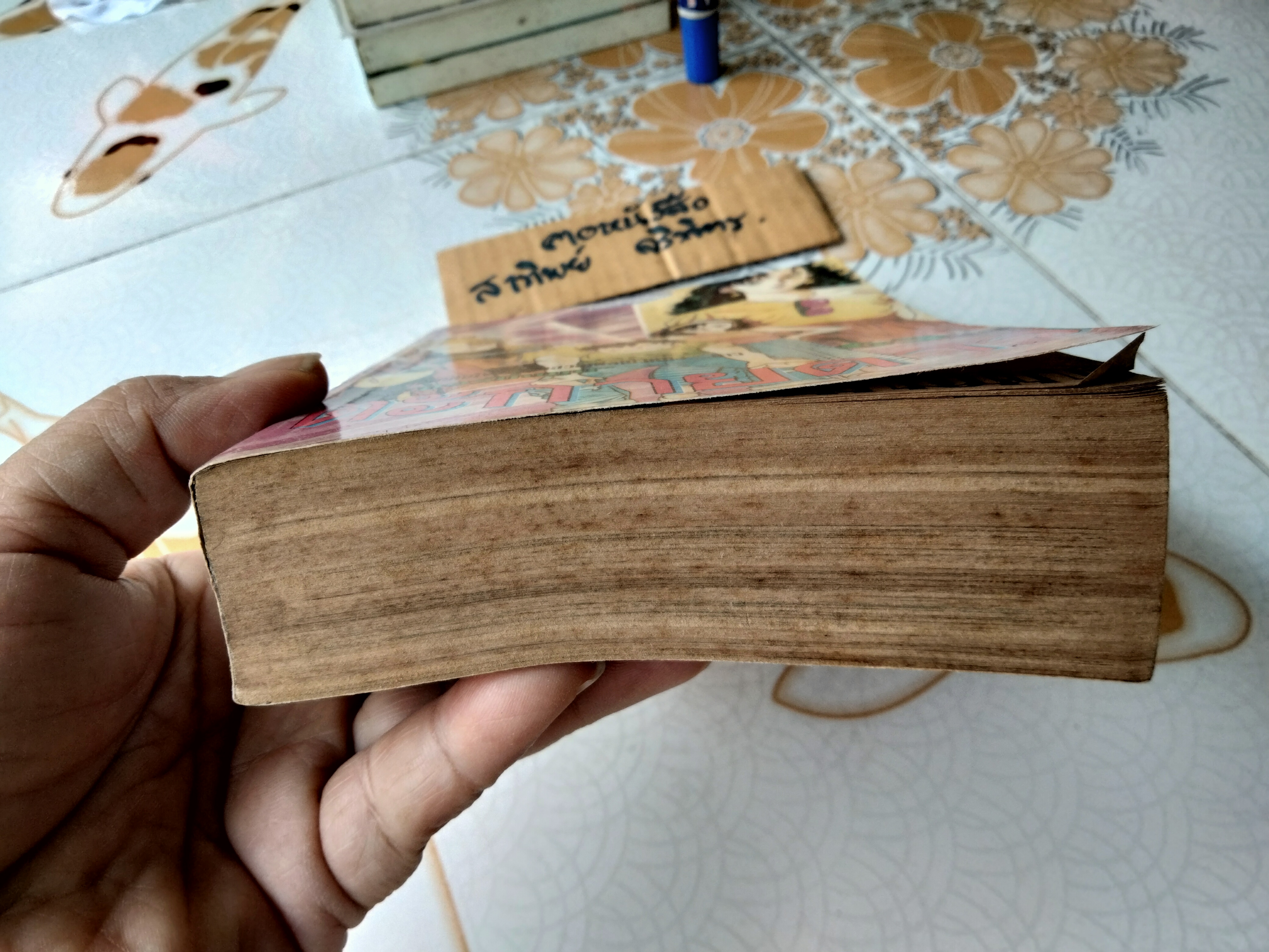 ตะกายดาว Aspirin Dandy (เล่มเดียวจบ) โทมิซาว่า จุน สนพ. Daoprasao