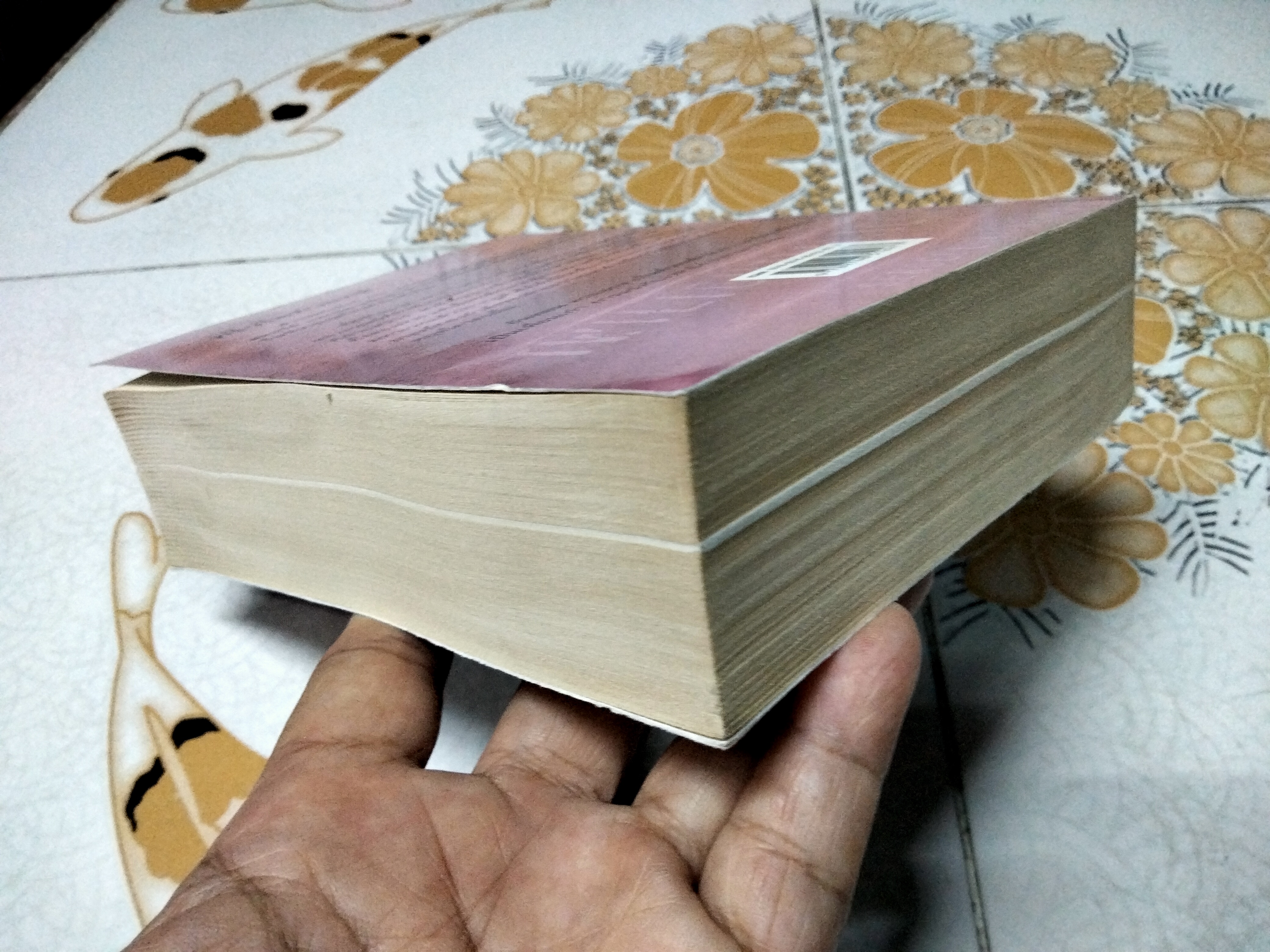 ทไวไลท์วอทช์ (Twilightwatch) Sergai Lukyanenko เขียน สุวิทย์ ขาวปลอด แปล **สินค้าหมด**, สนพ.วรรณวิภา