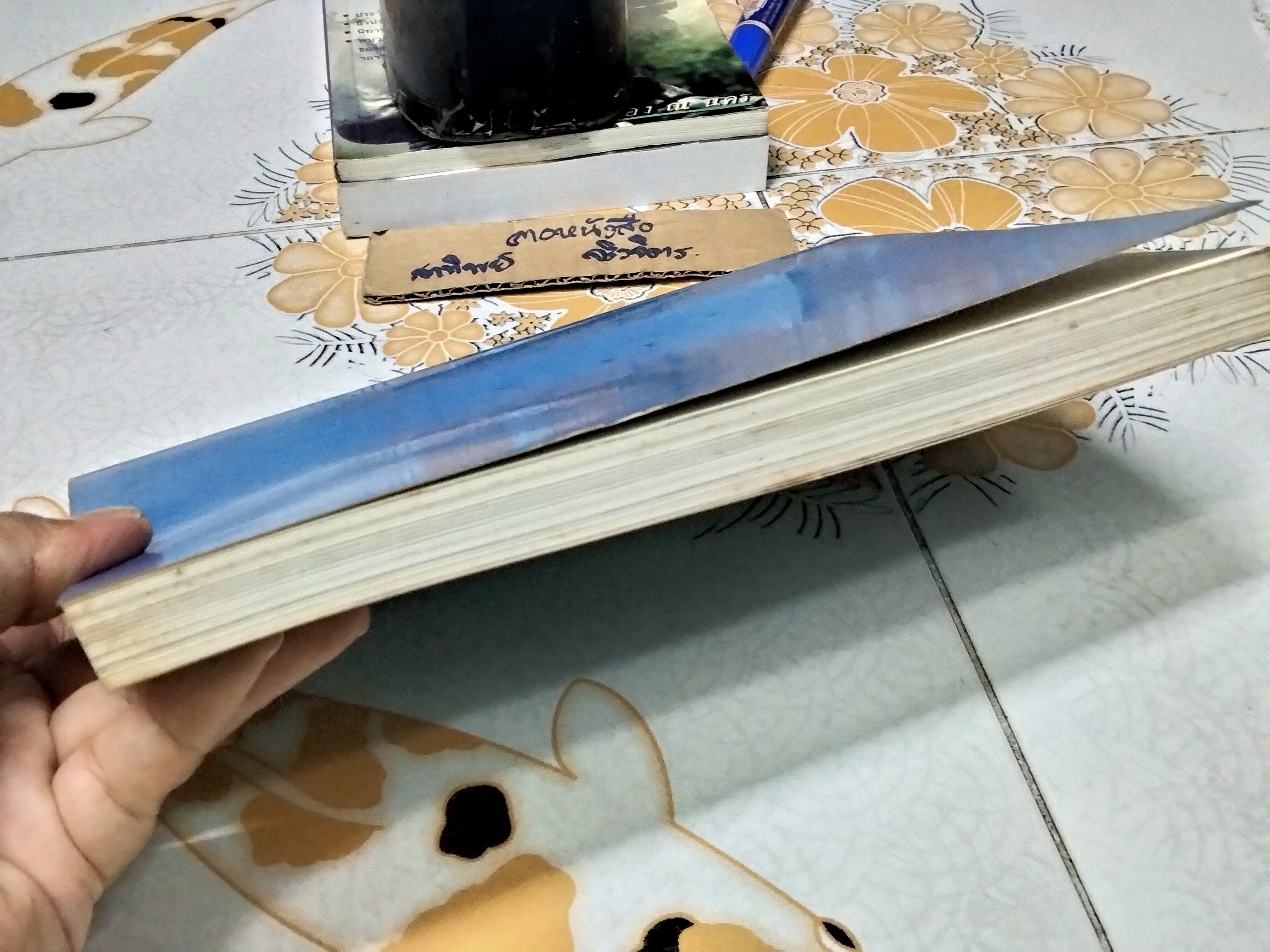 ชีวิต ยิ่งคิด ยิ่งพิสมัย (บทหวนระลึก) ของ หม่อมหลวงตุ้ย ชุมสาย **สินค้าหมด**