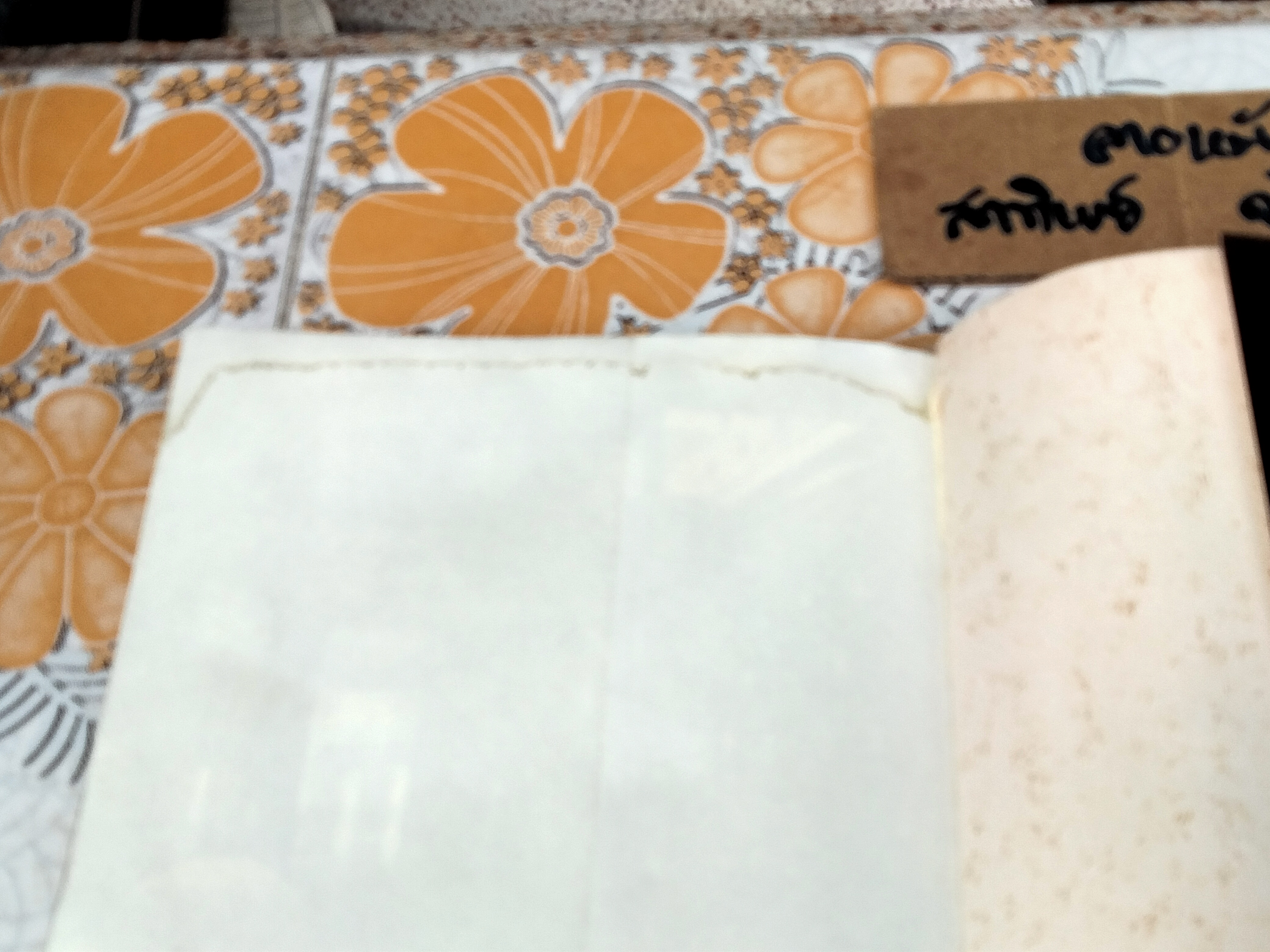 สร้างบ้านด้วยดิน จากดินสู่บ้าน... ธนา อุทัยภัตรากูร และทีมงานบ้านดิน อาศรมวงศ์สนิท (หนังสือมีคราบน้ำ) **สินค้าหมด**