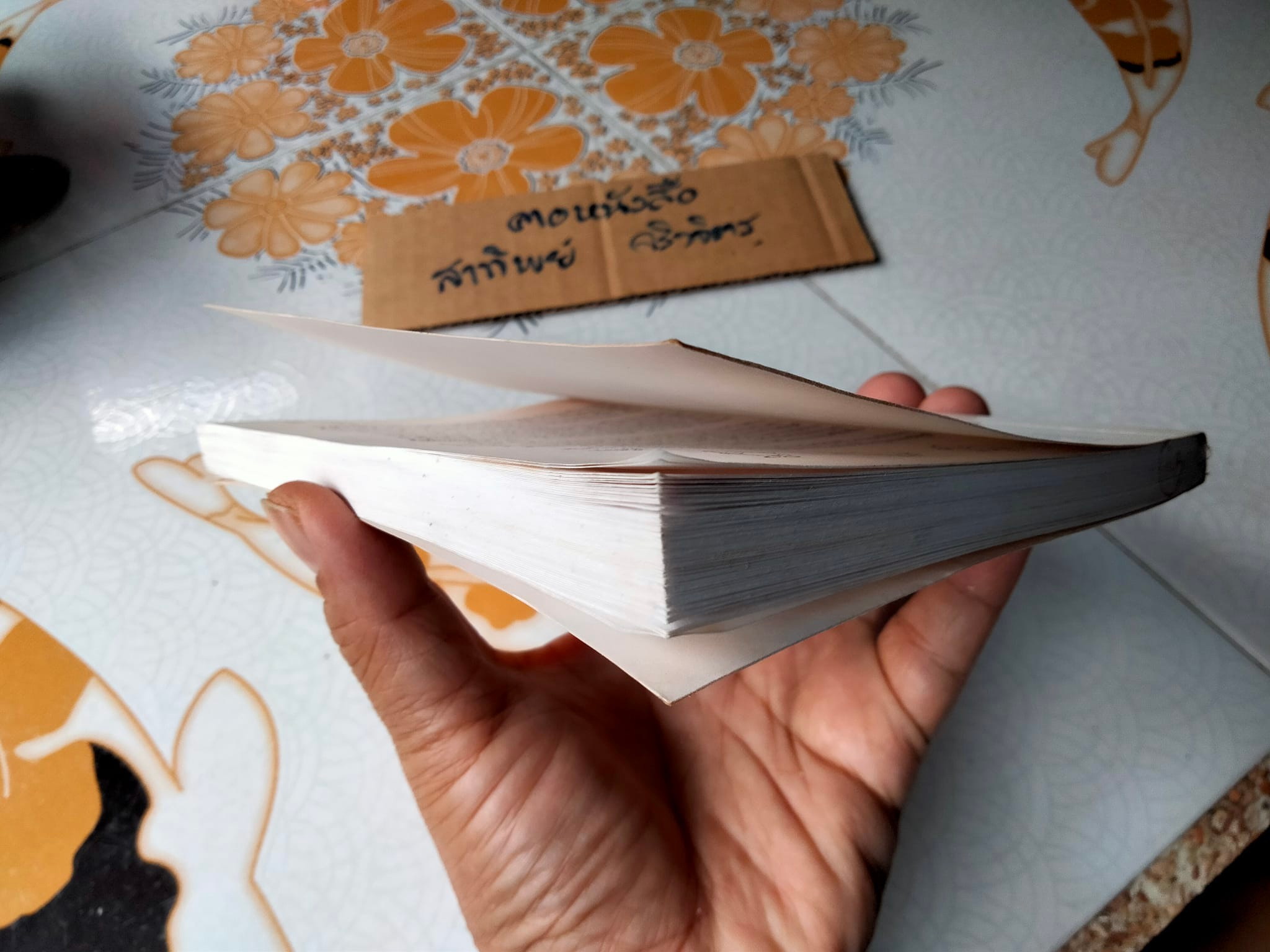 วินนี่เดอะพูห์ Winnie the Pooh เอ.เอ. มิลน์ เรื่อง ธารพายุ แปล **สินค้าหมด**