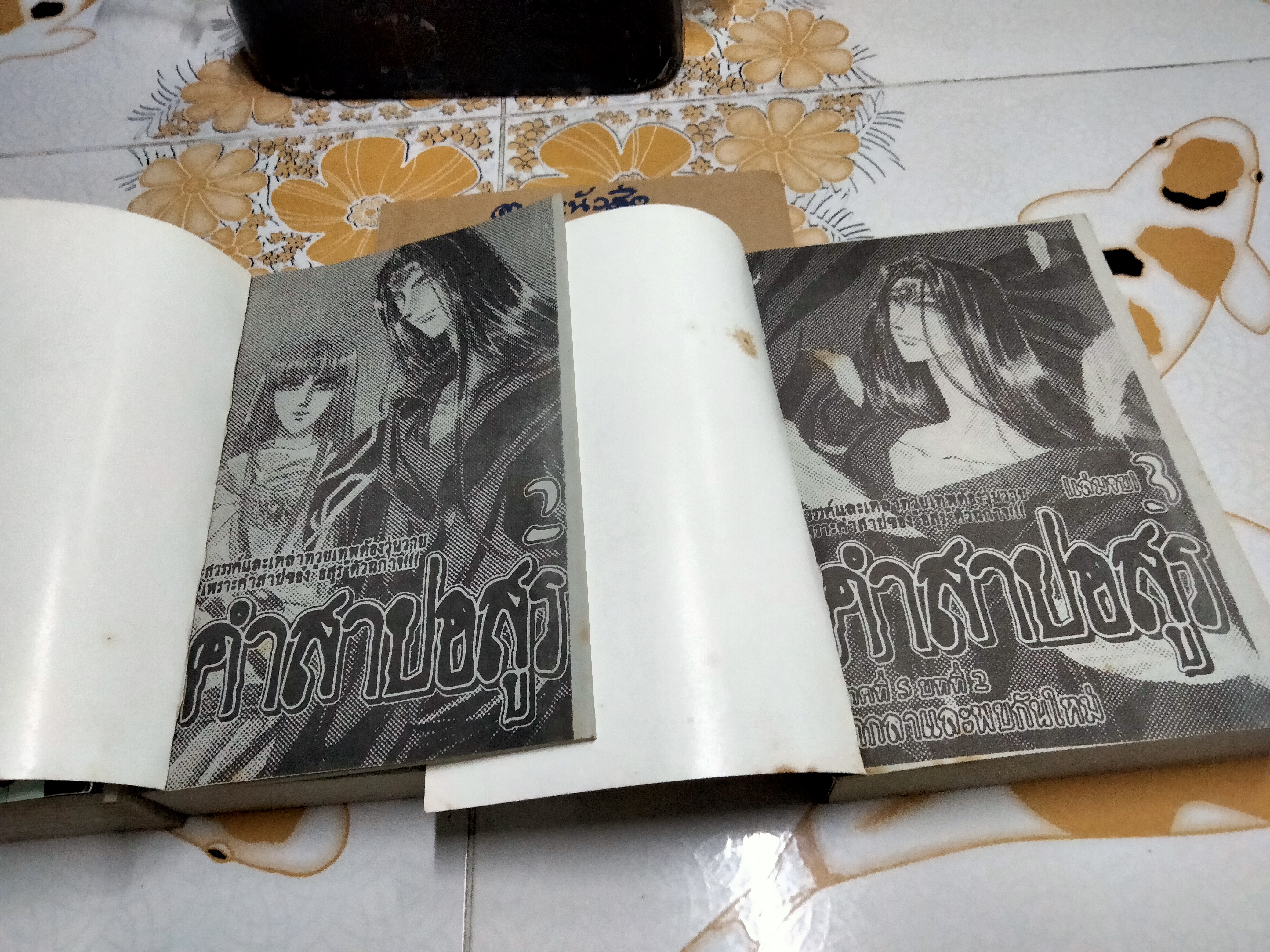 คำสาปอสูร 3 เล่มจบ - Shinobu Hazuki เรื่องเดียวกับเรื่อง ฝากฝันสู่กาลนิรันดร์ **สินค้าหมด**