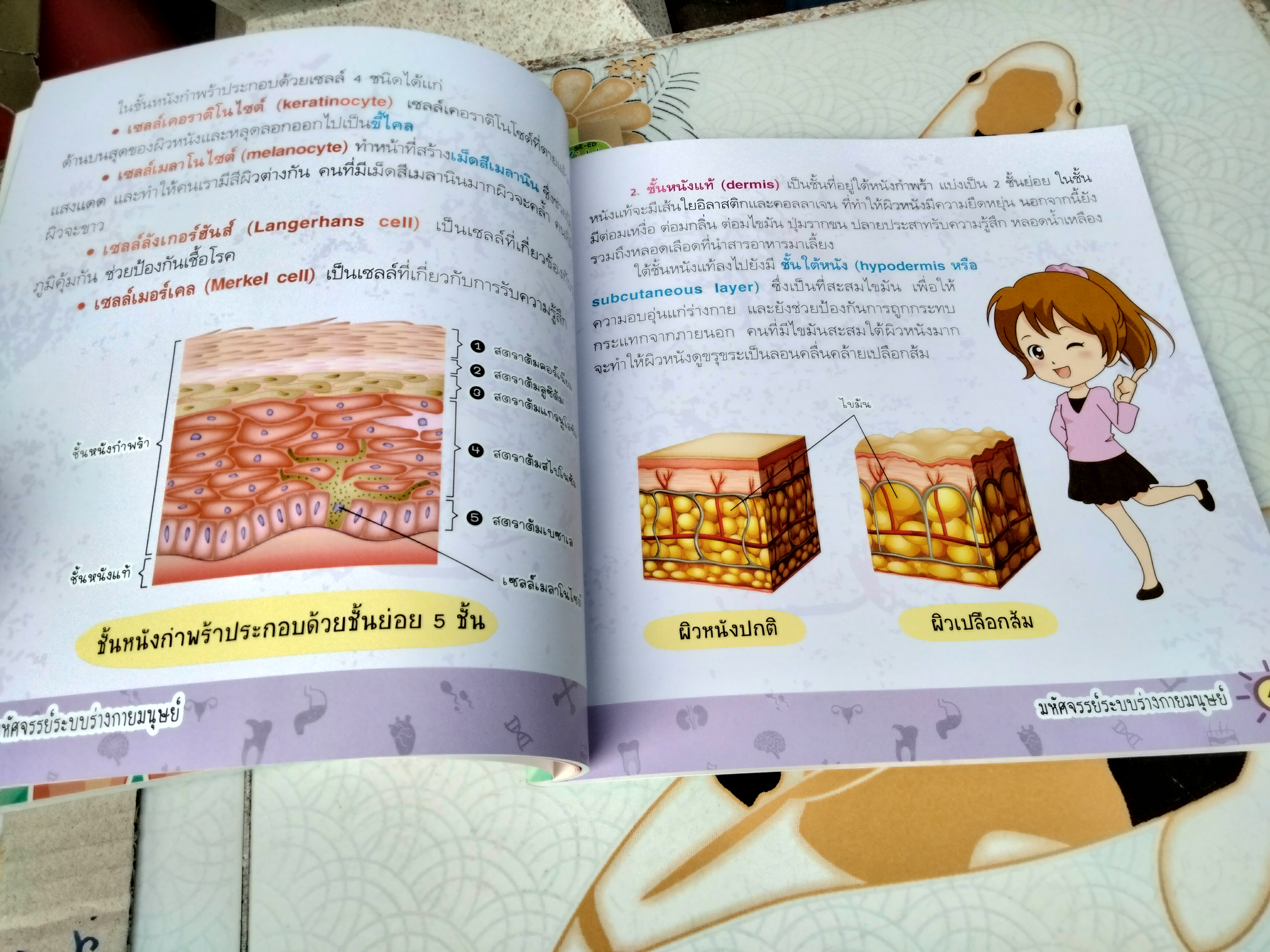 มหัศจรรย์ระบบร่างกายมนุษย์ Amazing Human Body - พ.ญ. ชัญวลี ศรีสุโข : หนังสือความรู้อิงหลักสูตรตรงกับกลุ่มสาระวิชาวิทยาศาสตร์ของ สพฐ.