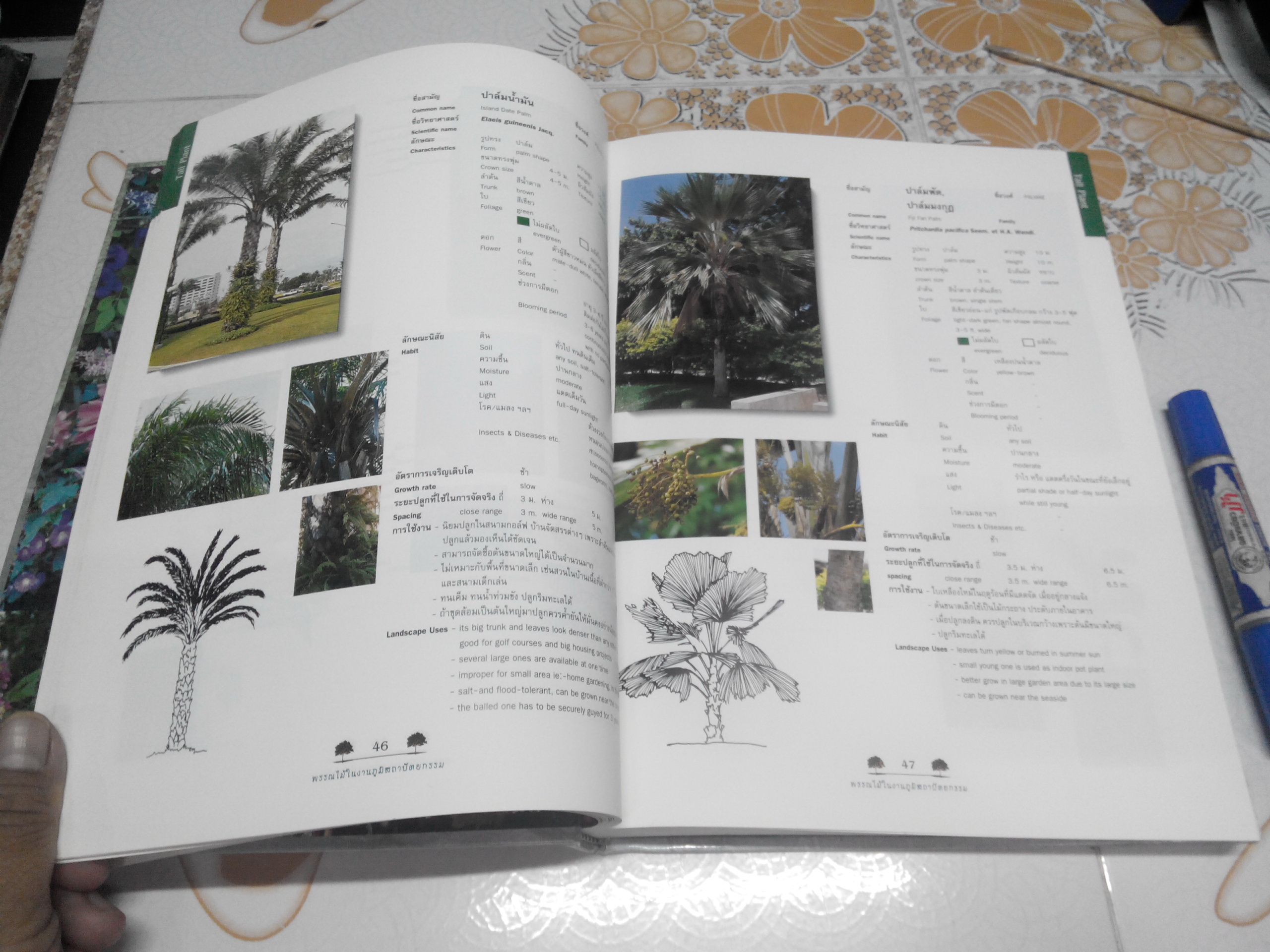 พรรณไม้ในงานภูมิสถาปัตยกรรม 2 (Plants for Landscape Architecture in Thailand) **สินค้าหมด**