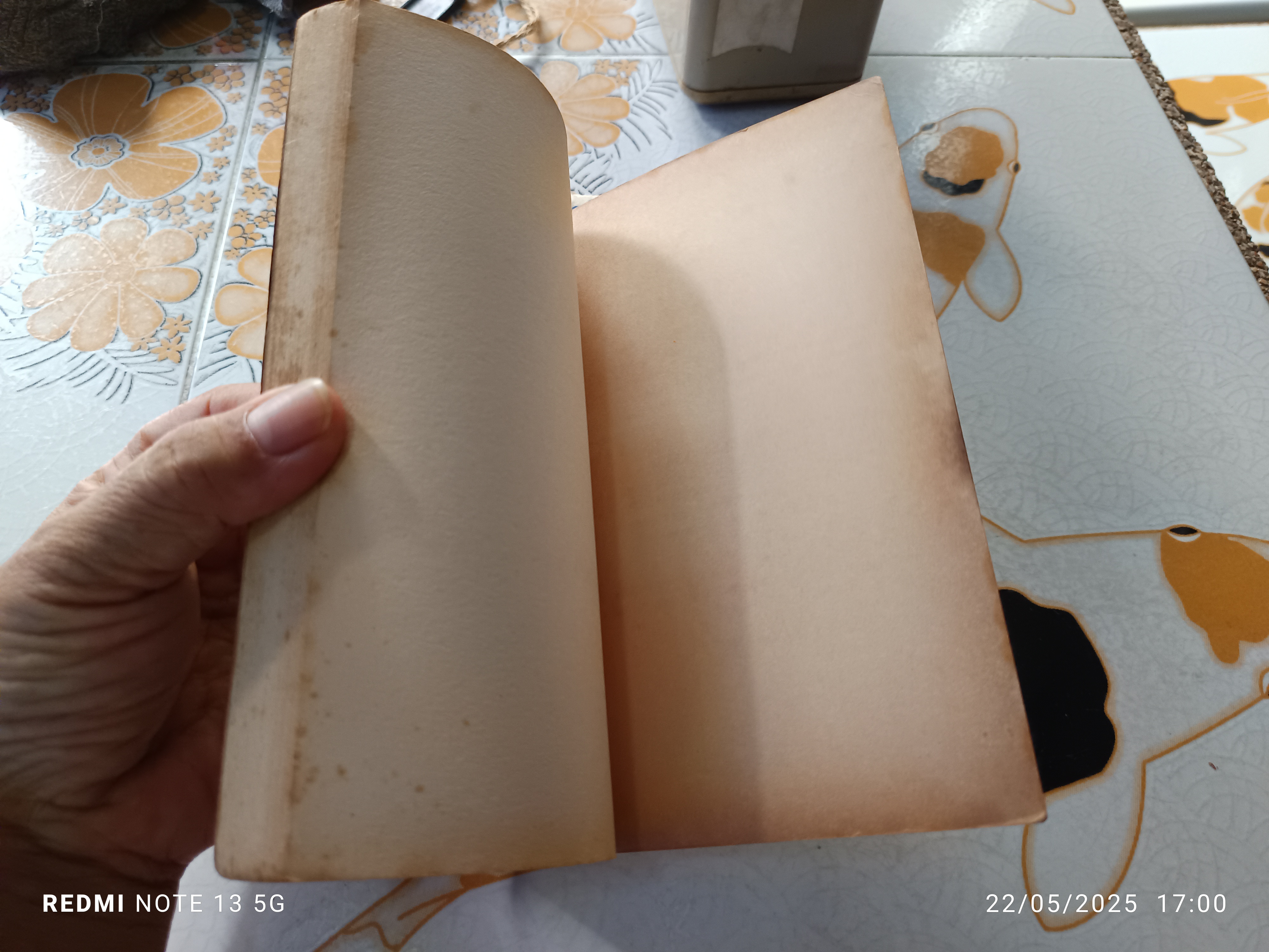 Murder Comes to Life and Other Stories (Horror Show), 1990 Richard Brightfield.