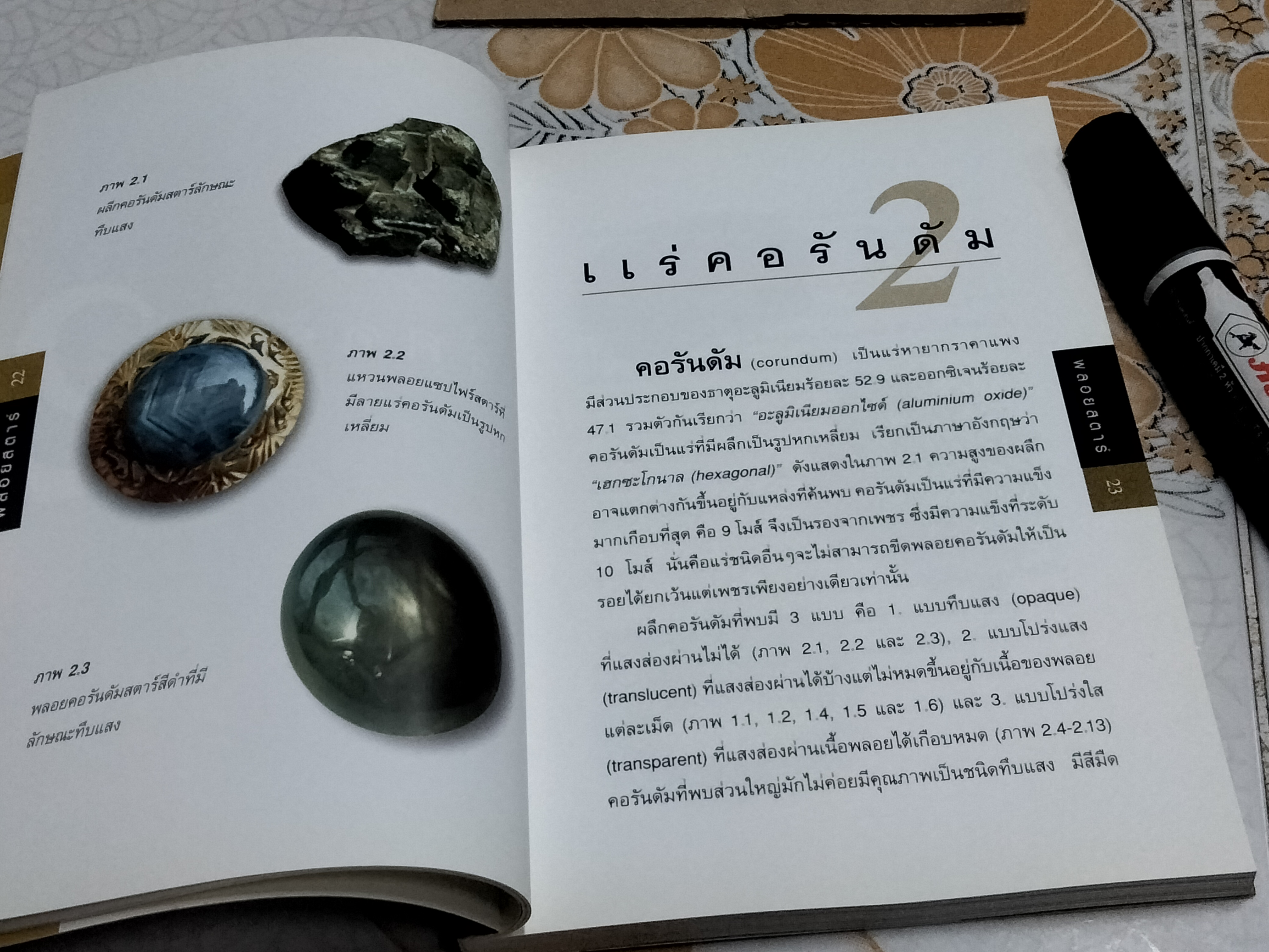 พลอยสตาร์ - พรทิพย์ โล่ห์เลขา