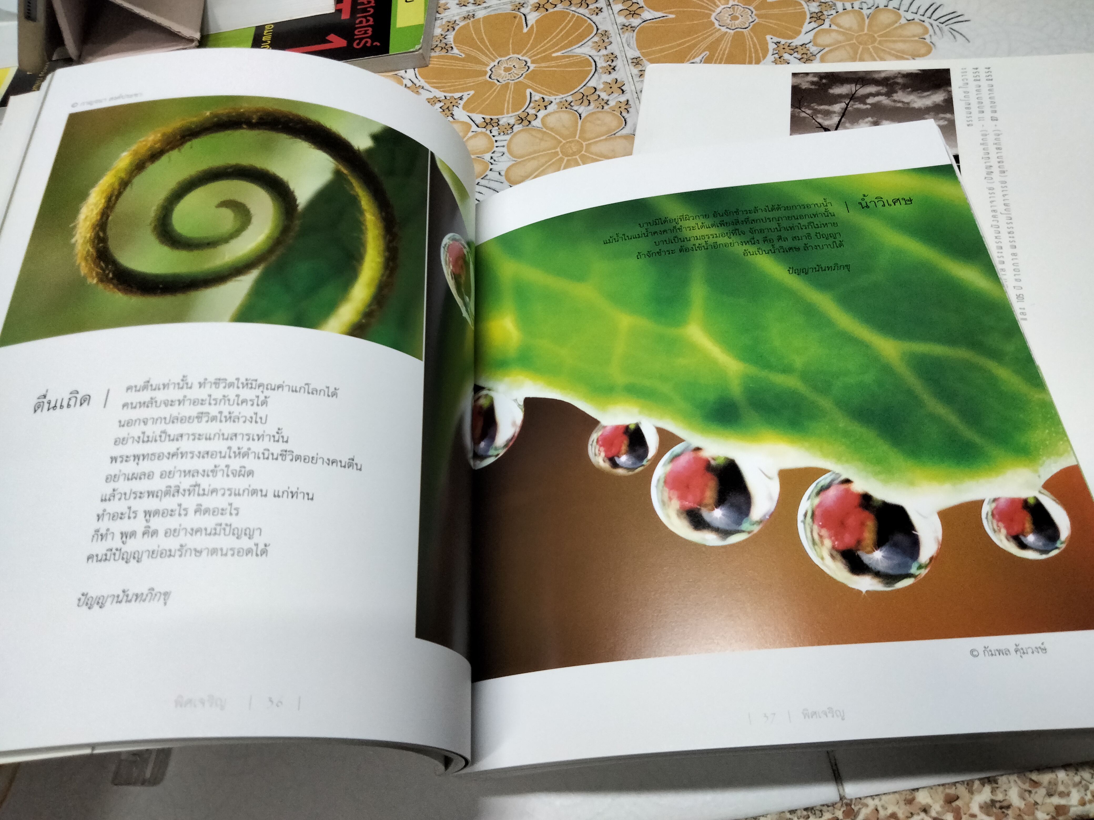 พิศเจริญ 1-2