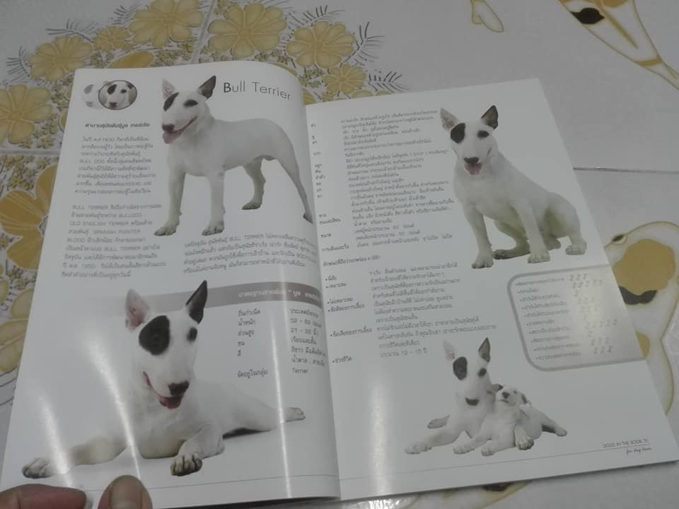 DOGS IN THE BOOK - 32 หมา...ที่คนอยากอวด