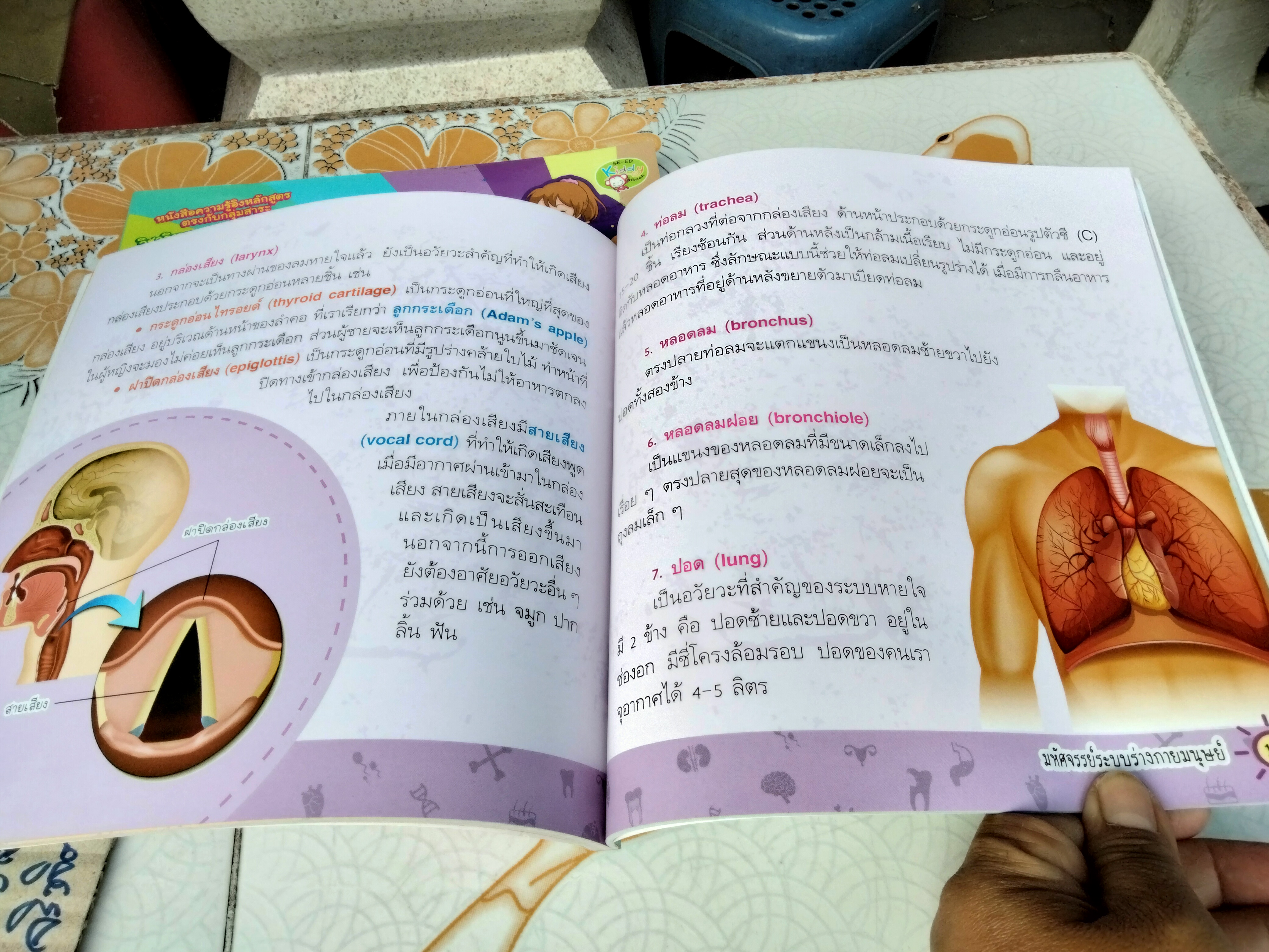 มหัศจรรย์ระบบร่างกายมนุษย์ Amazing Human Body - พ.ญ. ชัญวลี ศรีสุโข : หนังสือความรู้อิงหลักสูตรตรงกับกลุ่มสาระวิชาวิทยาศาสตร์ของ สพฐ.