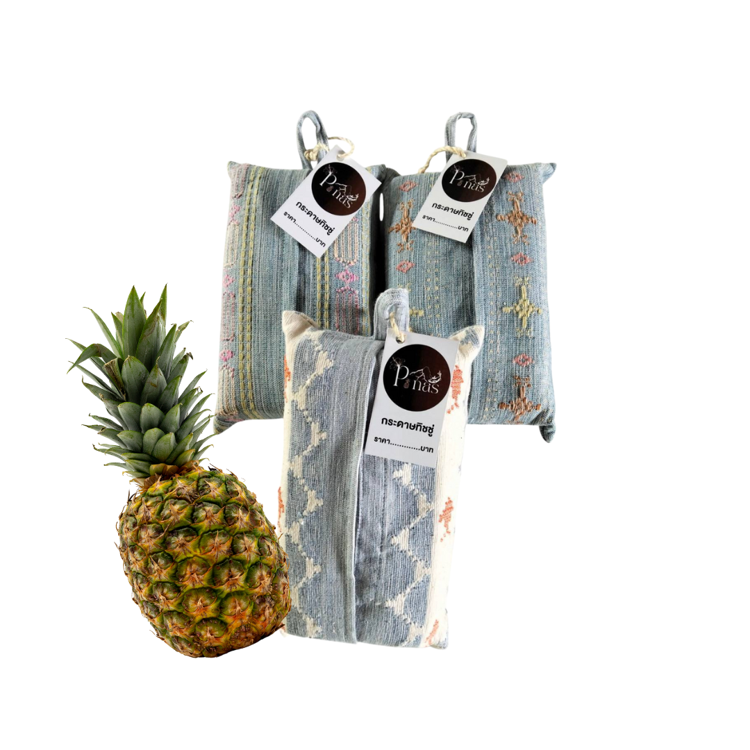 PANAS กล่องกระดาษทิชชูจากใยสับปะรด | PANAS Pineapple Fiber Tissue Box