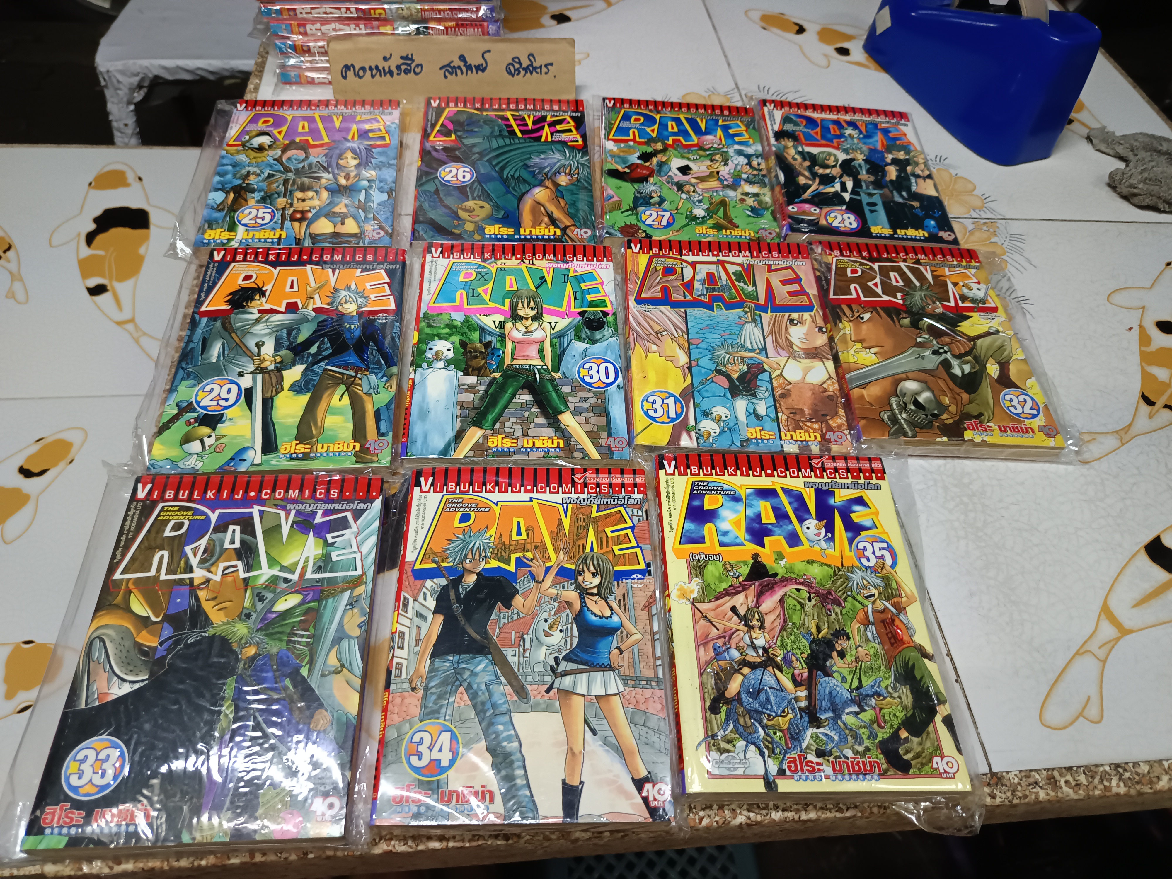 RAVE ผจญภัยเหนือโลก 1-35 จบ