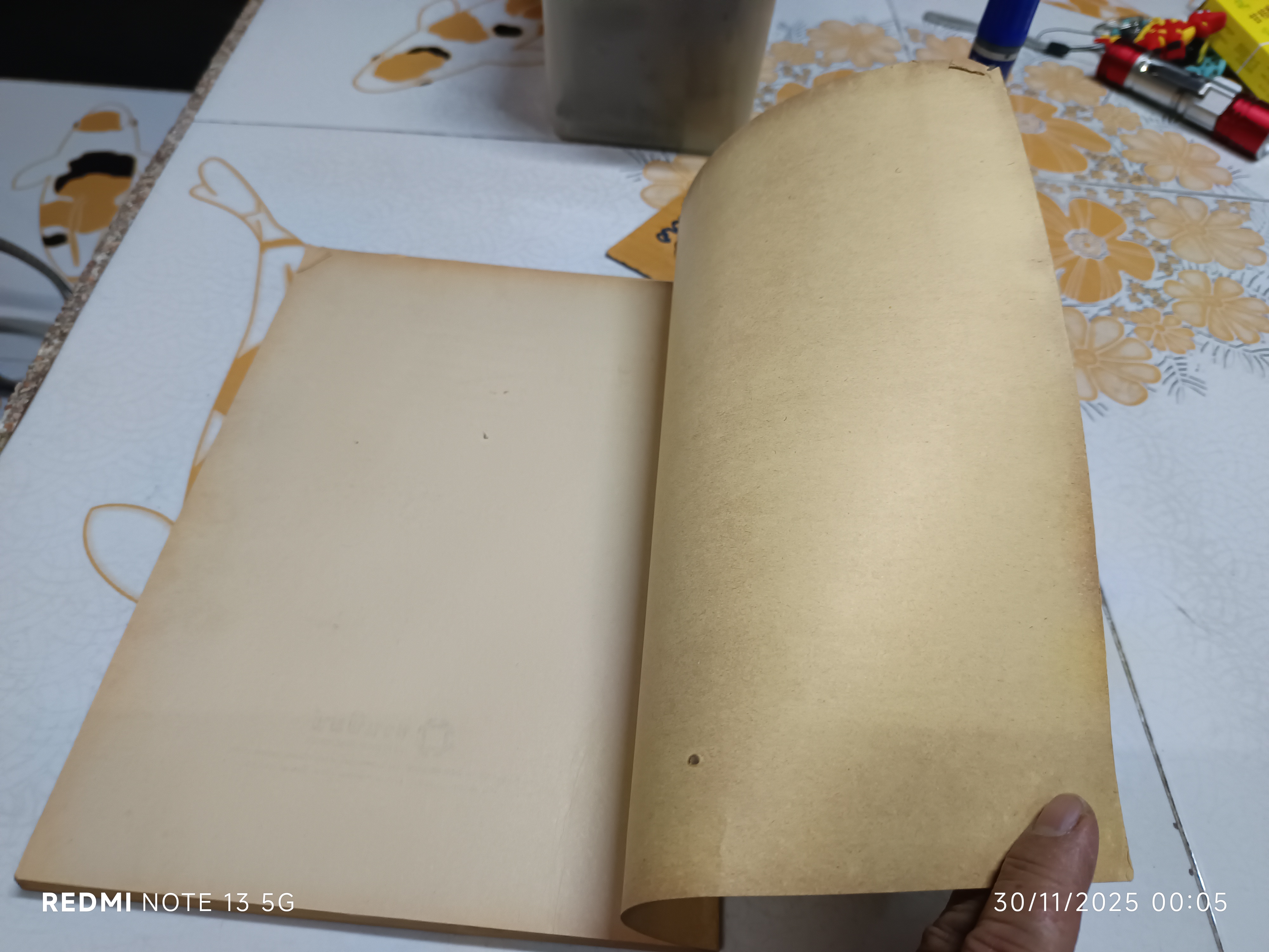 ไตรภูมิ ฉบับ หลวงพ่อฤาษีลิงดำ ผลงานของ พระมหาวีระ ถาวโร วัดจันทราราม (หลวงพ่อฤาษีลิงดำ วัดท่าซุง)