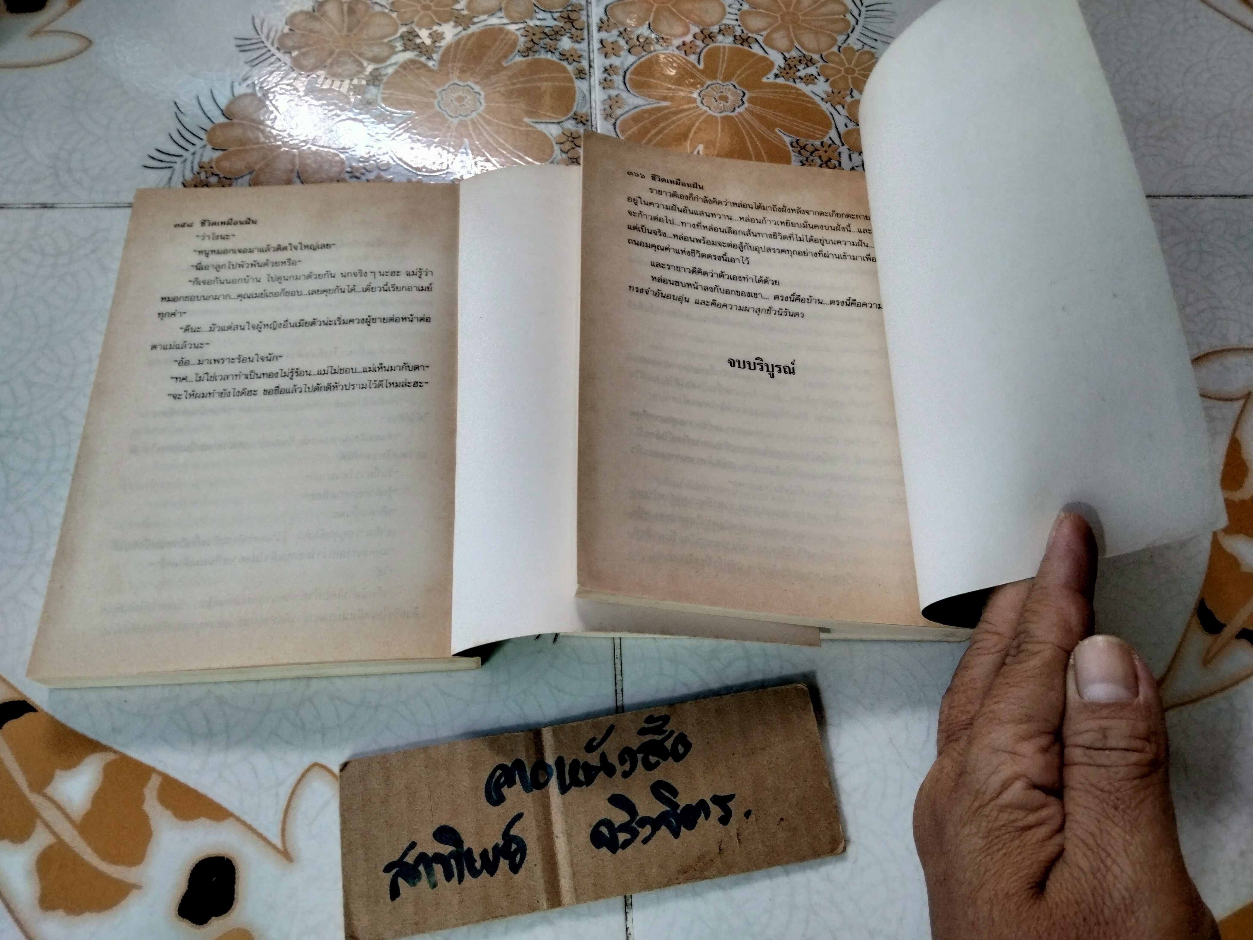 ชีวิตเหมือนฝัน ( 2 เล่มจบ) อาริตา