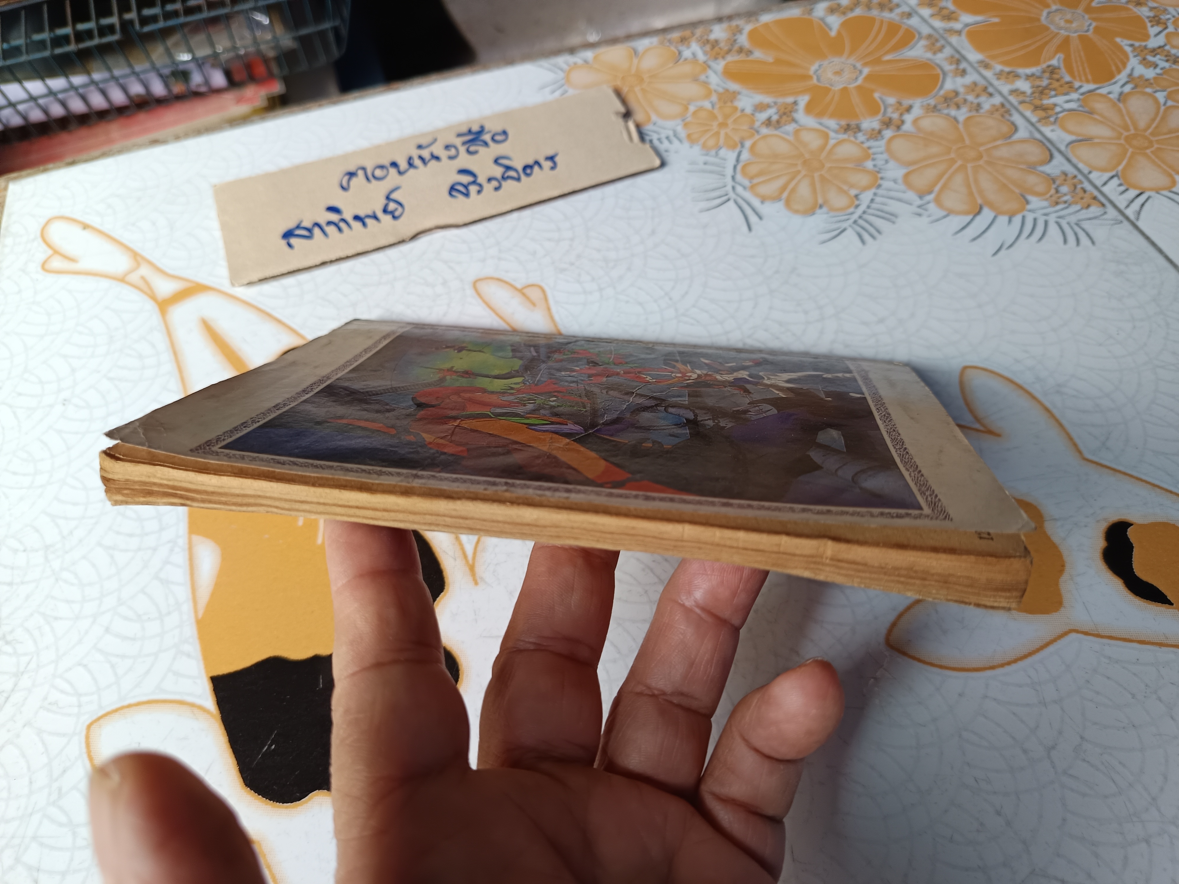 เศษการ์ตูน Saint Seiya เซนตเซยา เทพบุตรดาวหาง , มิตรไมตรี (เล่มบาง) ชุดที่ 2/18